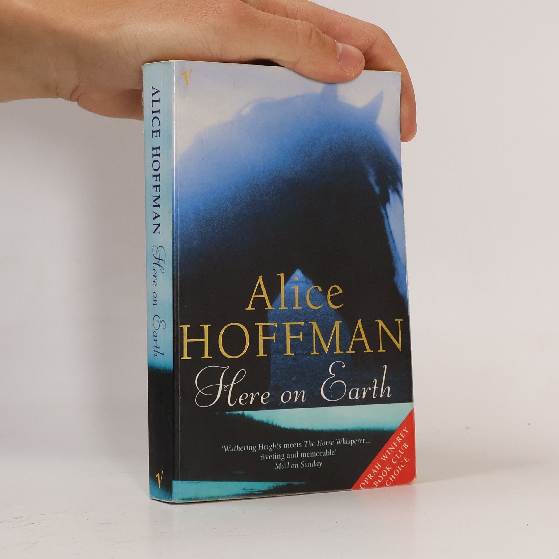 Alice Hoffman Here On Earth