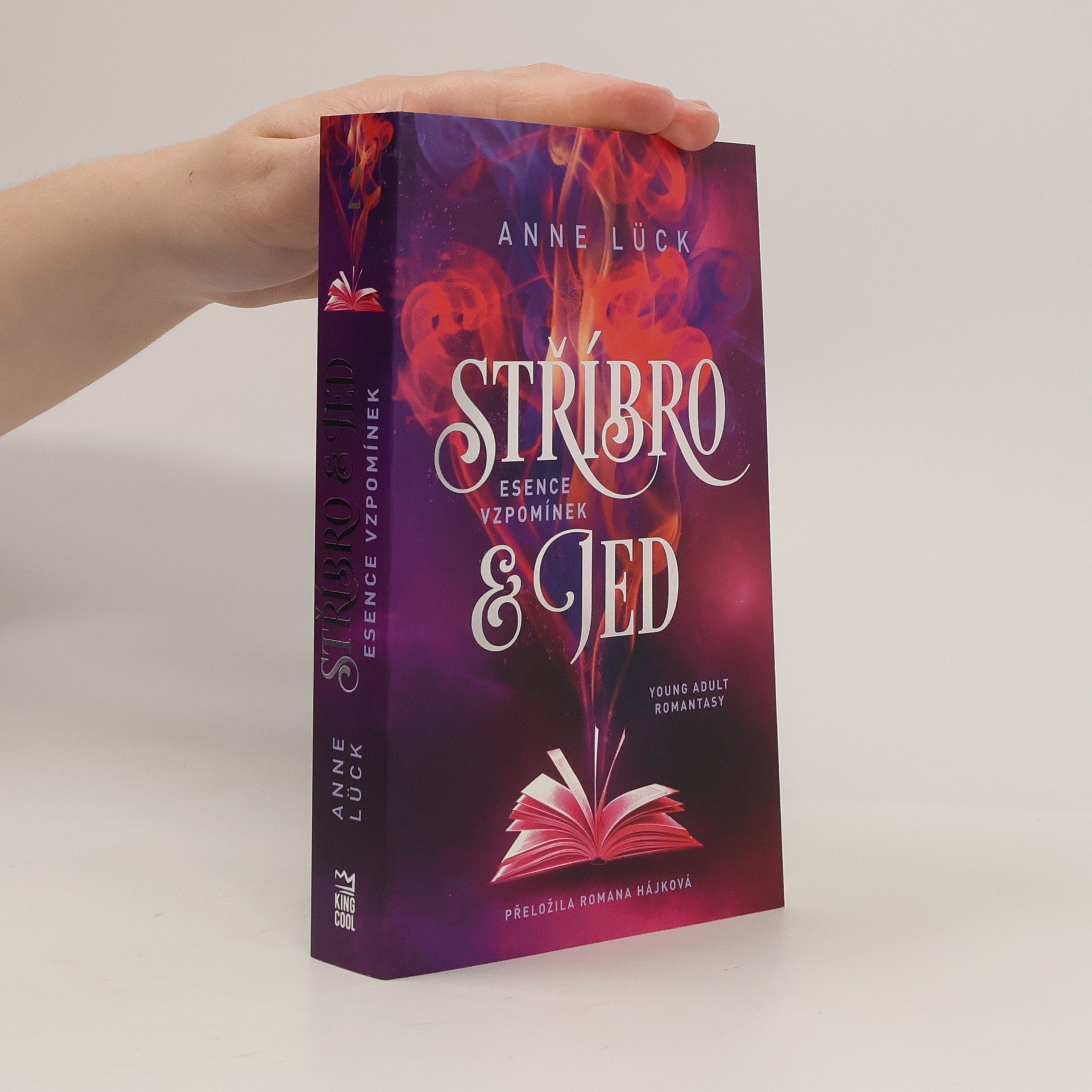 Anne Lück Stříbro & jed. Díl druhý, Esence vzpomínek