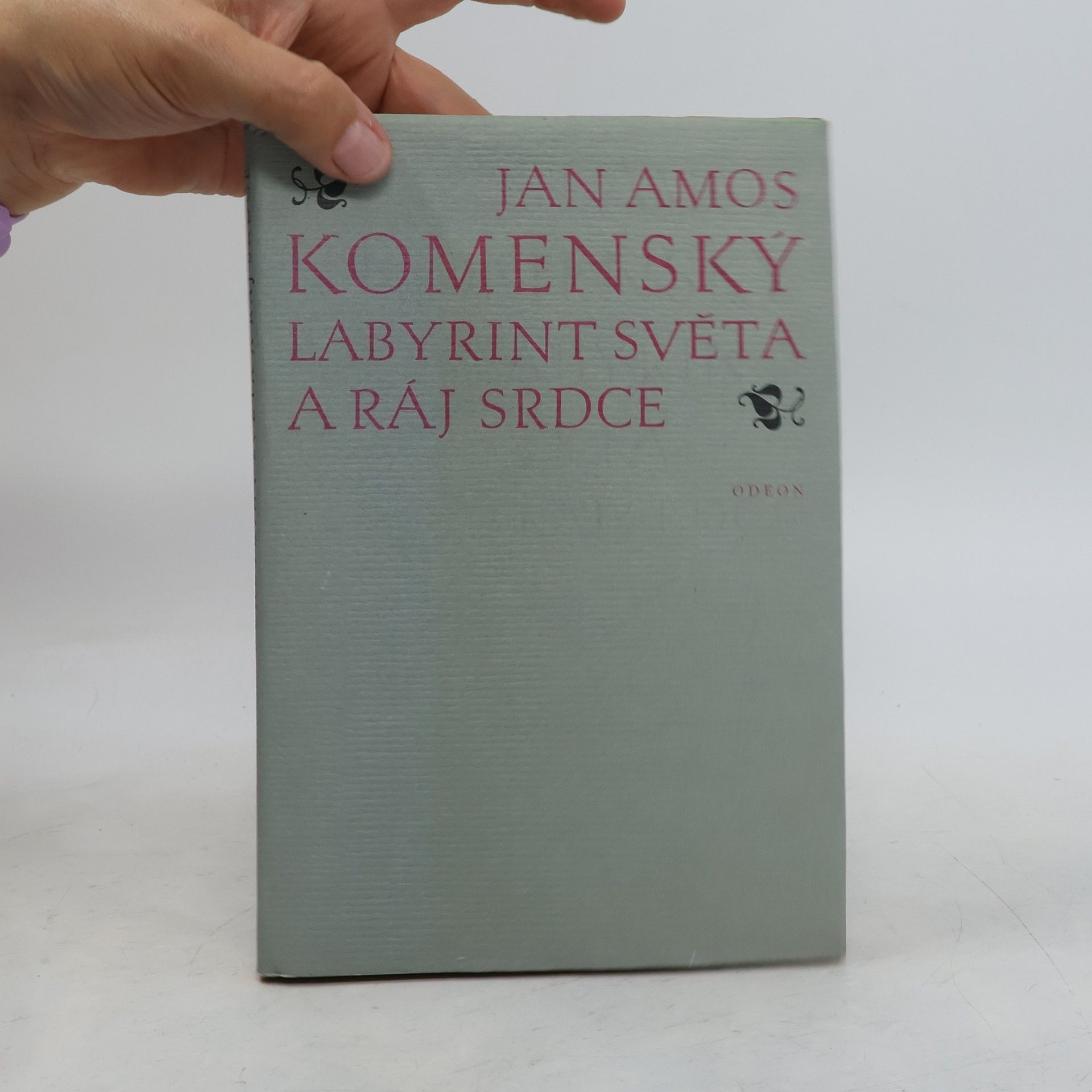 Jan Amos Komenský Labyrint světa a ráj srdce
