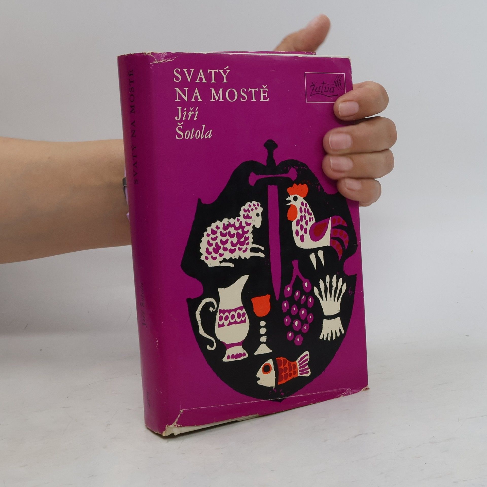 Jiří Šotola Svatý na mostě