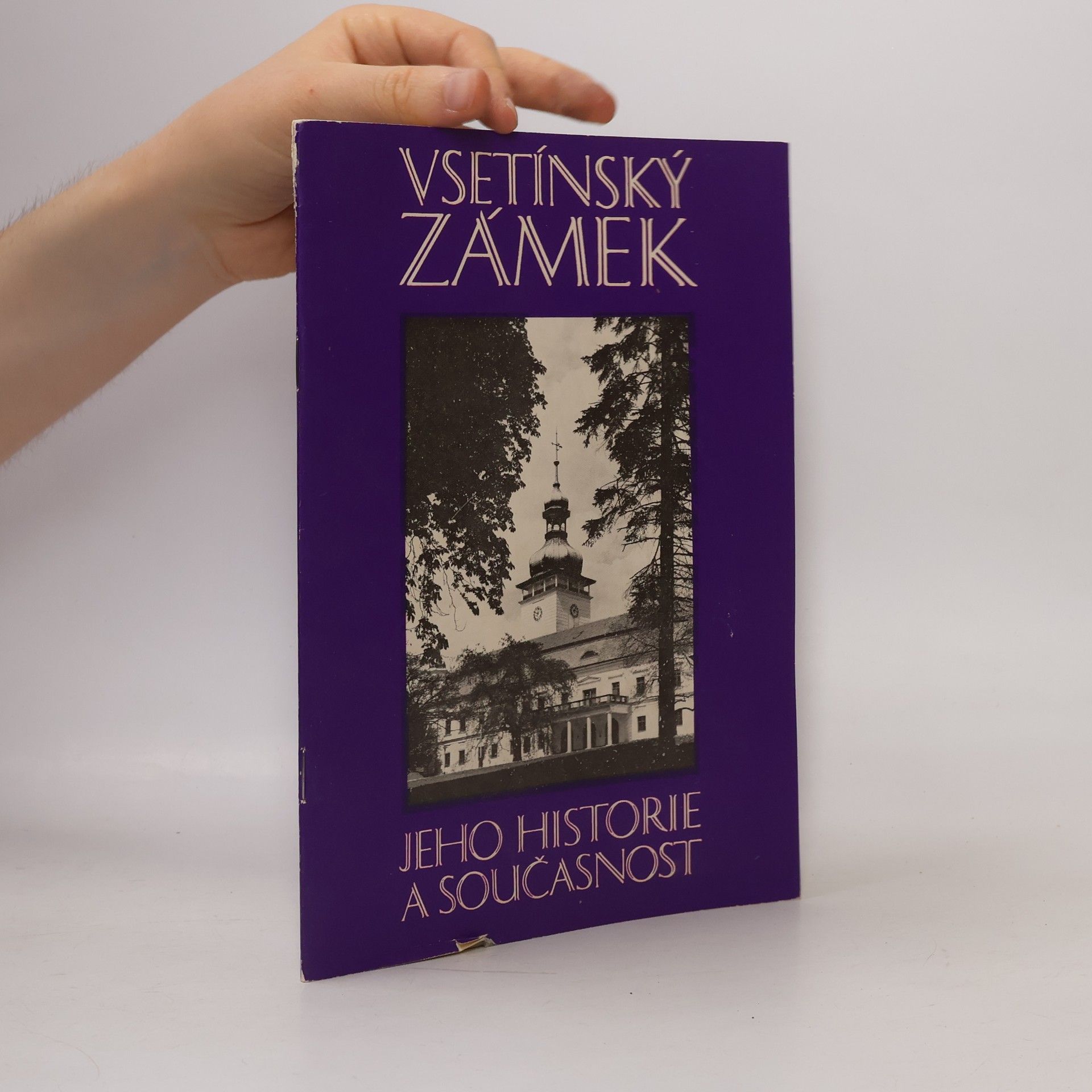 Miroslav Langer Vsetínský zámek : jeho historie a současnost