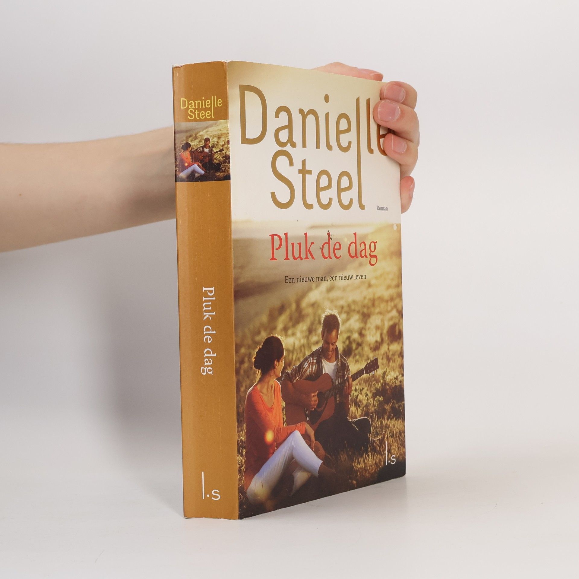 Danielle Steel Pluk de dag