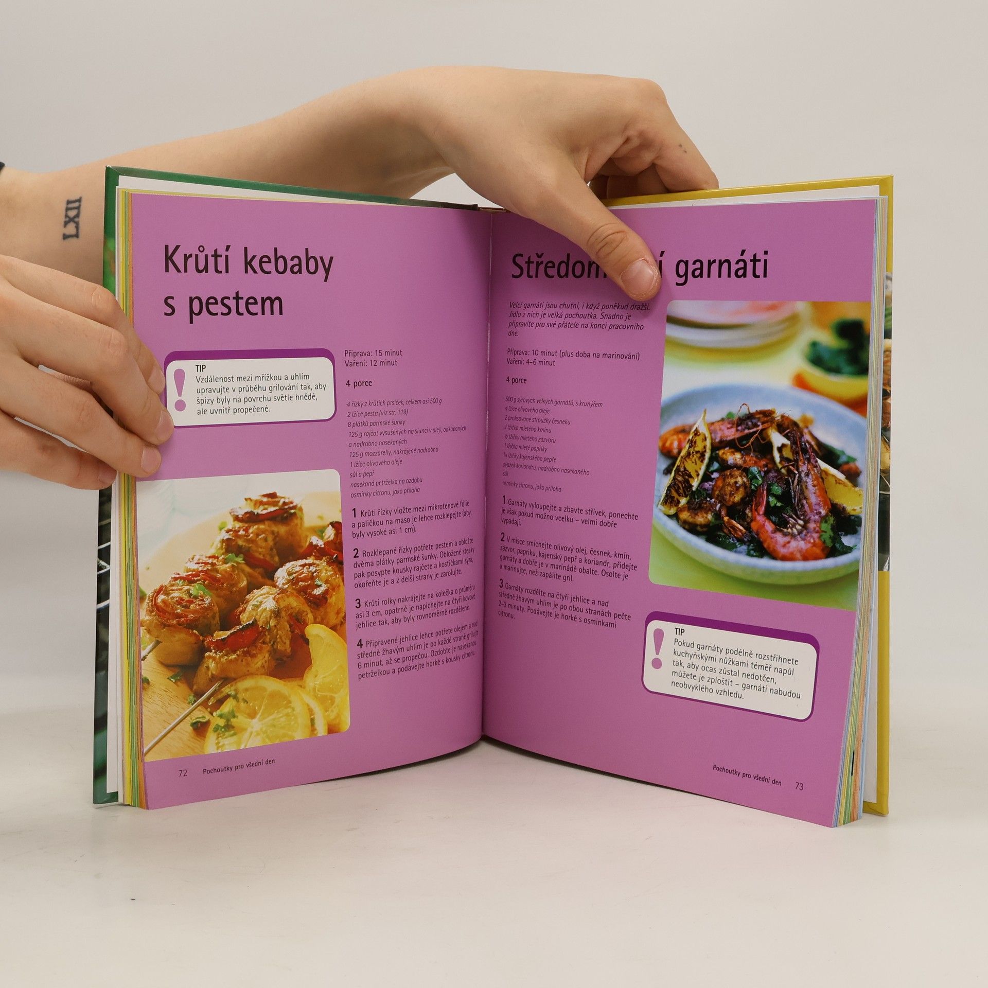 Collectif d'auteurs Ottova kuchařka. Grilování