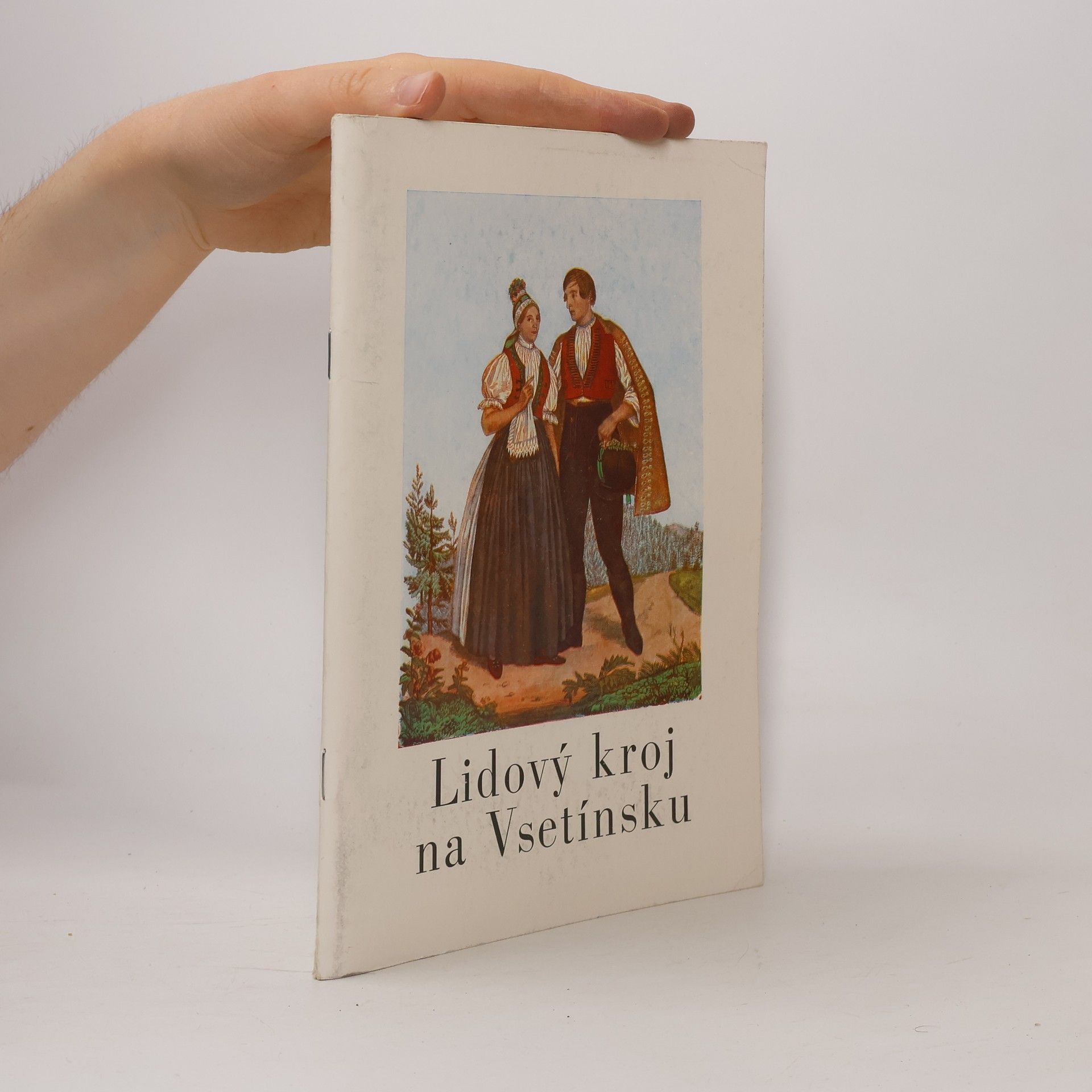 Auteurscollectief Lidový kroj na Vsetínsku