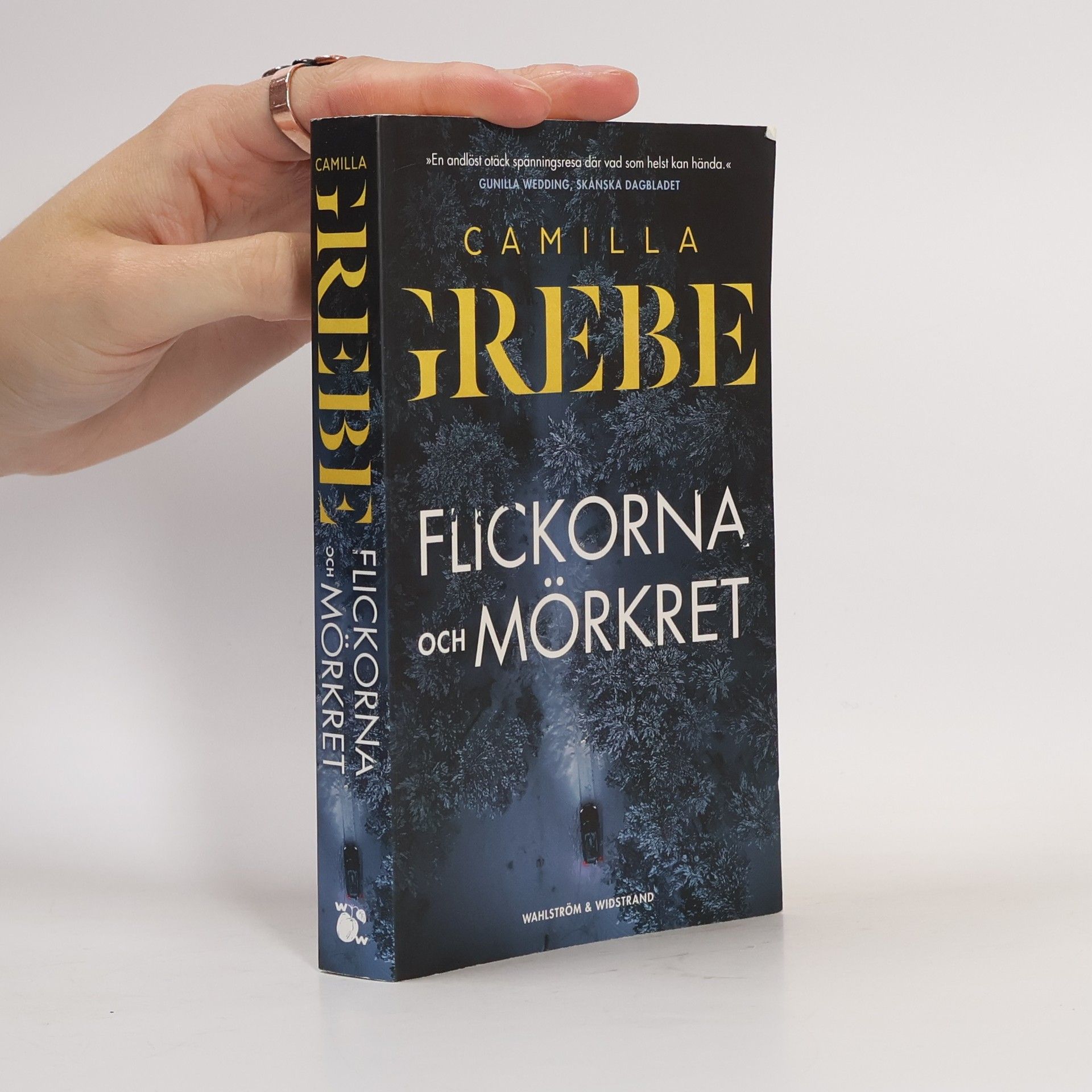 Camilla Grebe Flickorna och mörkret