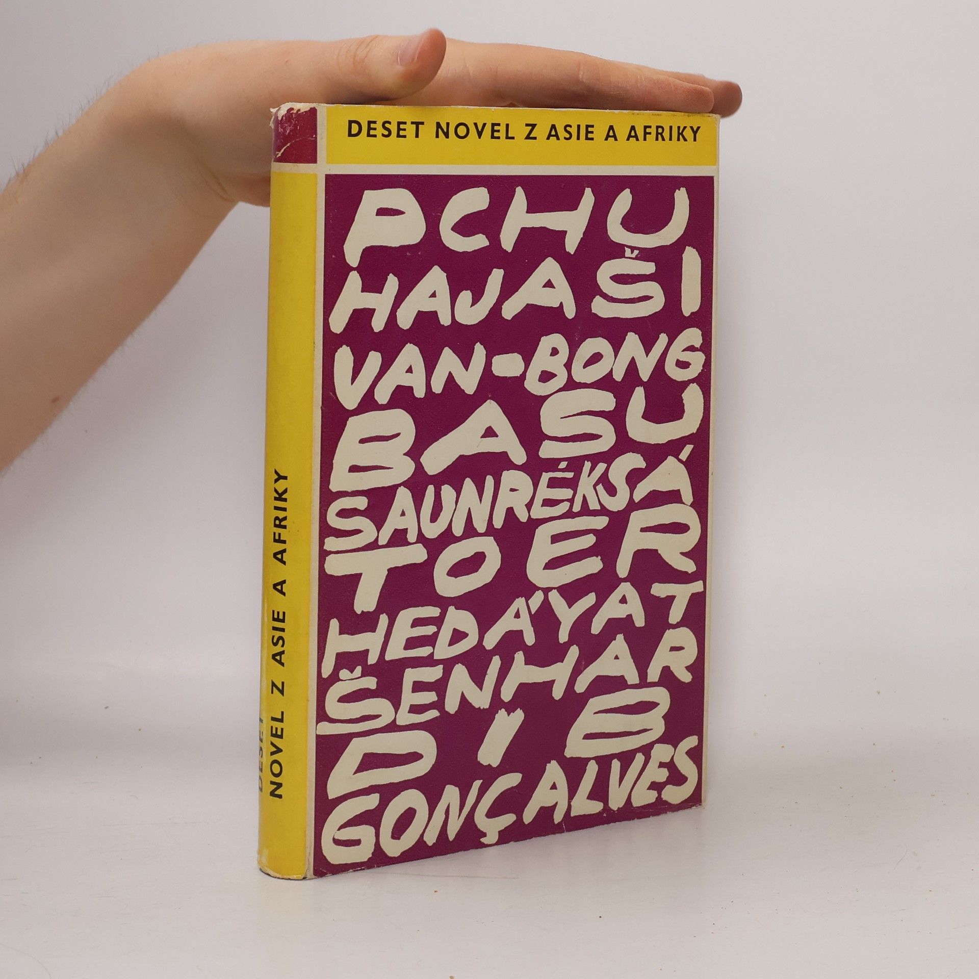 Autorenkollektiv Deset novel z Asie a Afriky