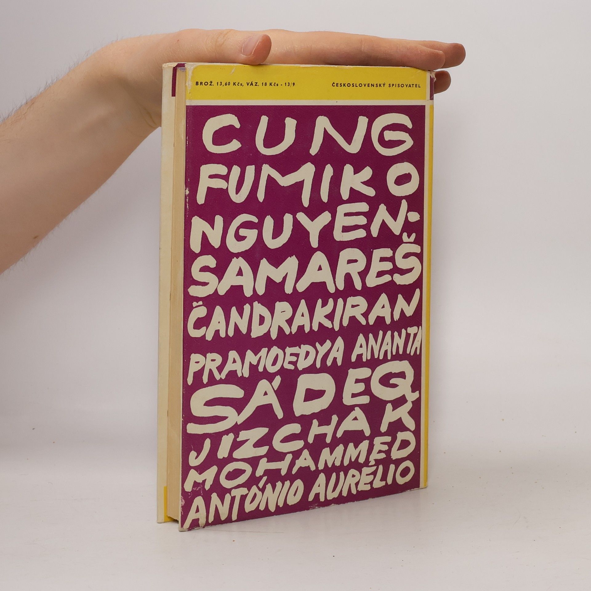 Kolektiv autorů Deset novel z Asie a Afriky