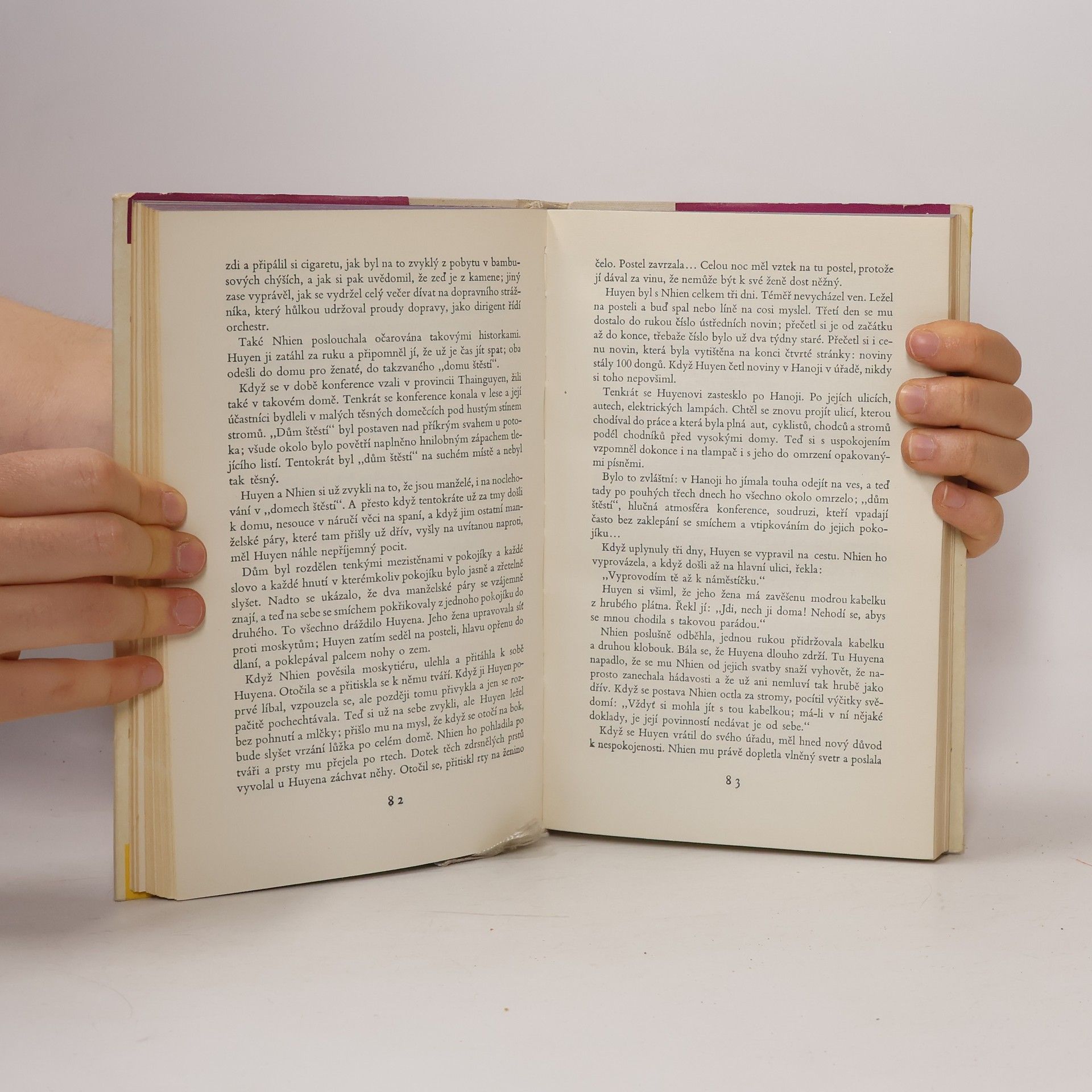Kolektiv autorů Deset novel z Asie a Afriky