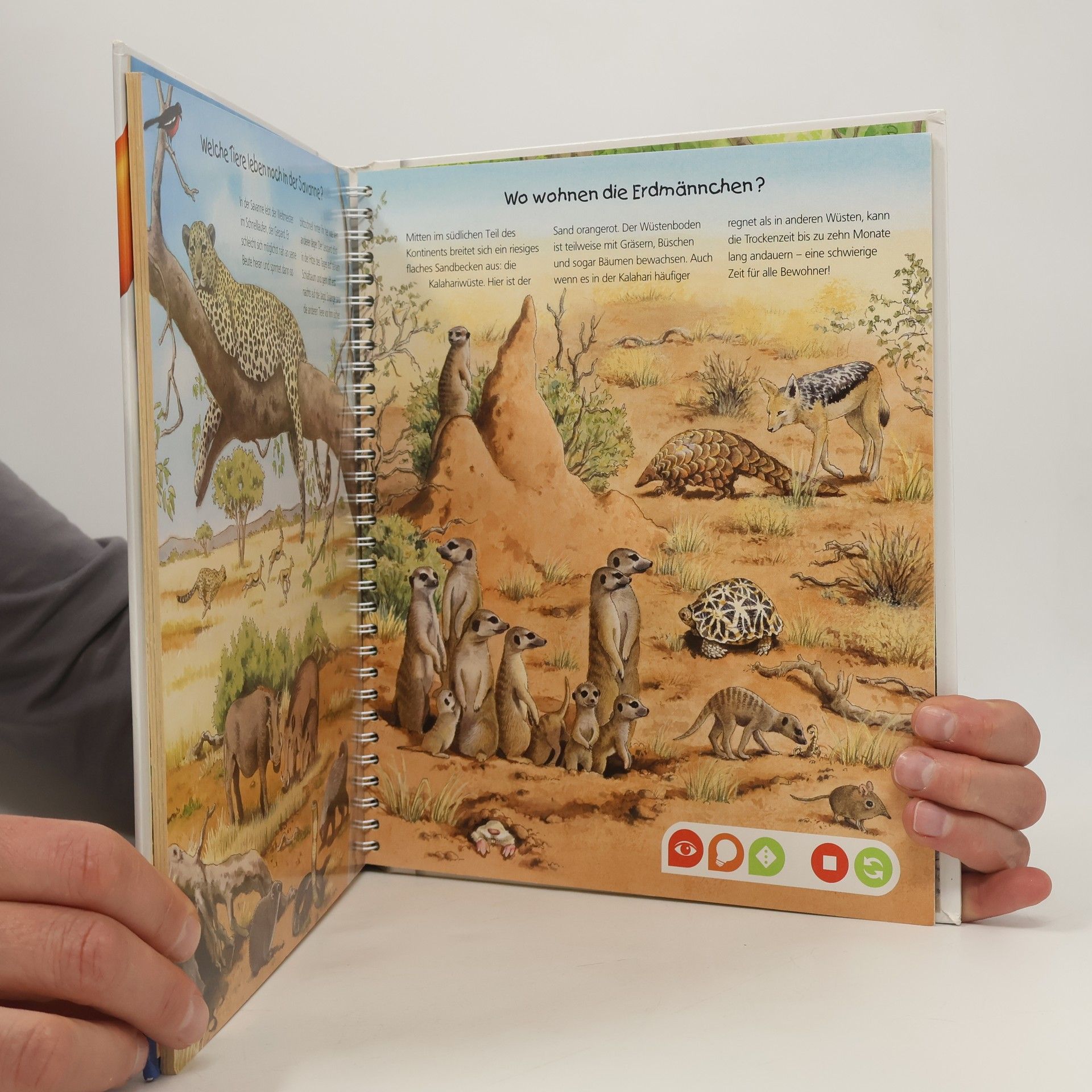Constanze Schargan Entdecke die Tiere: Afrikas