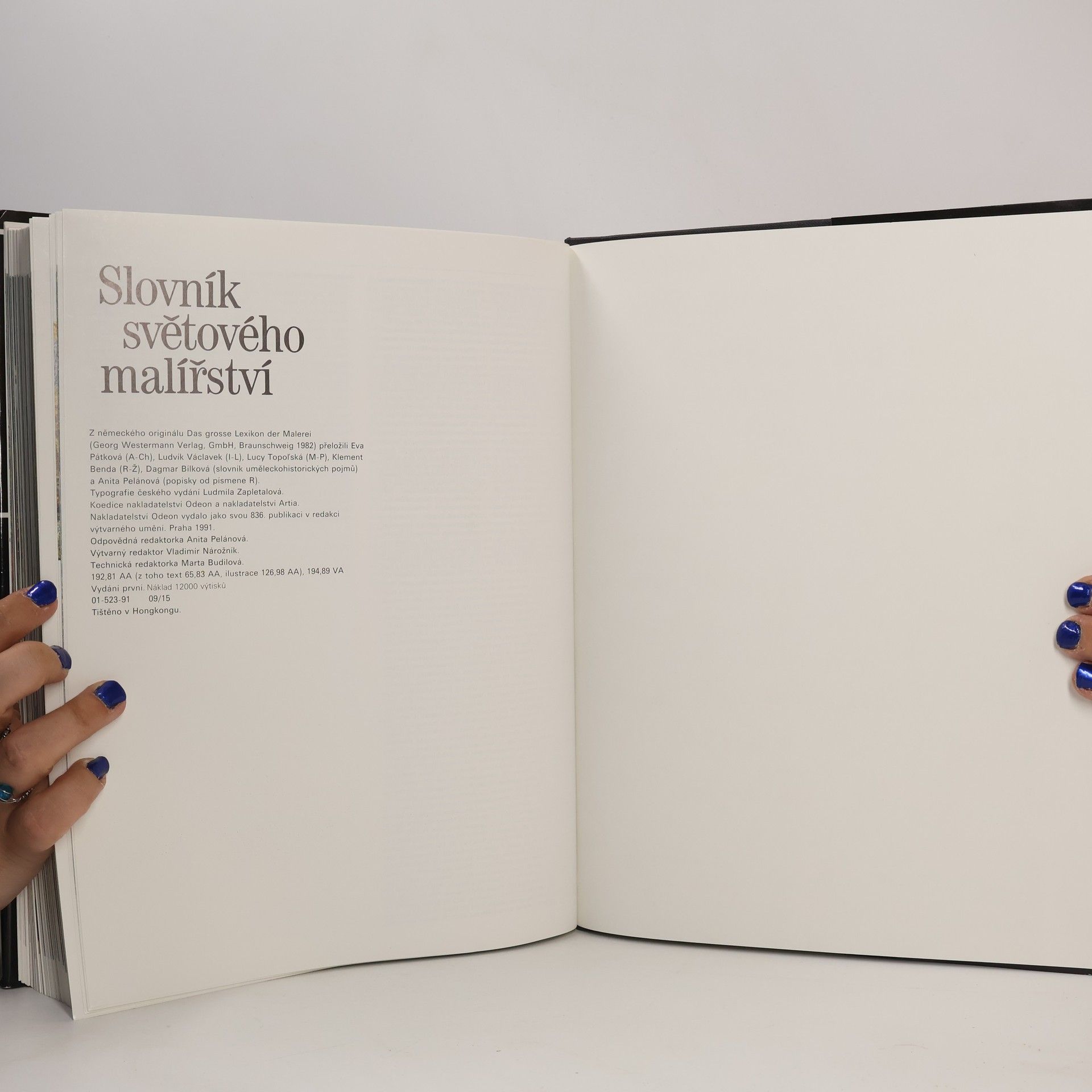 Autorenkollektiv Slovník světového malířství