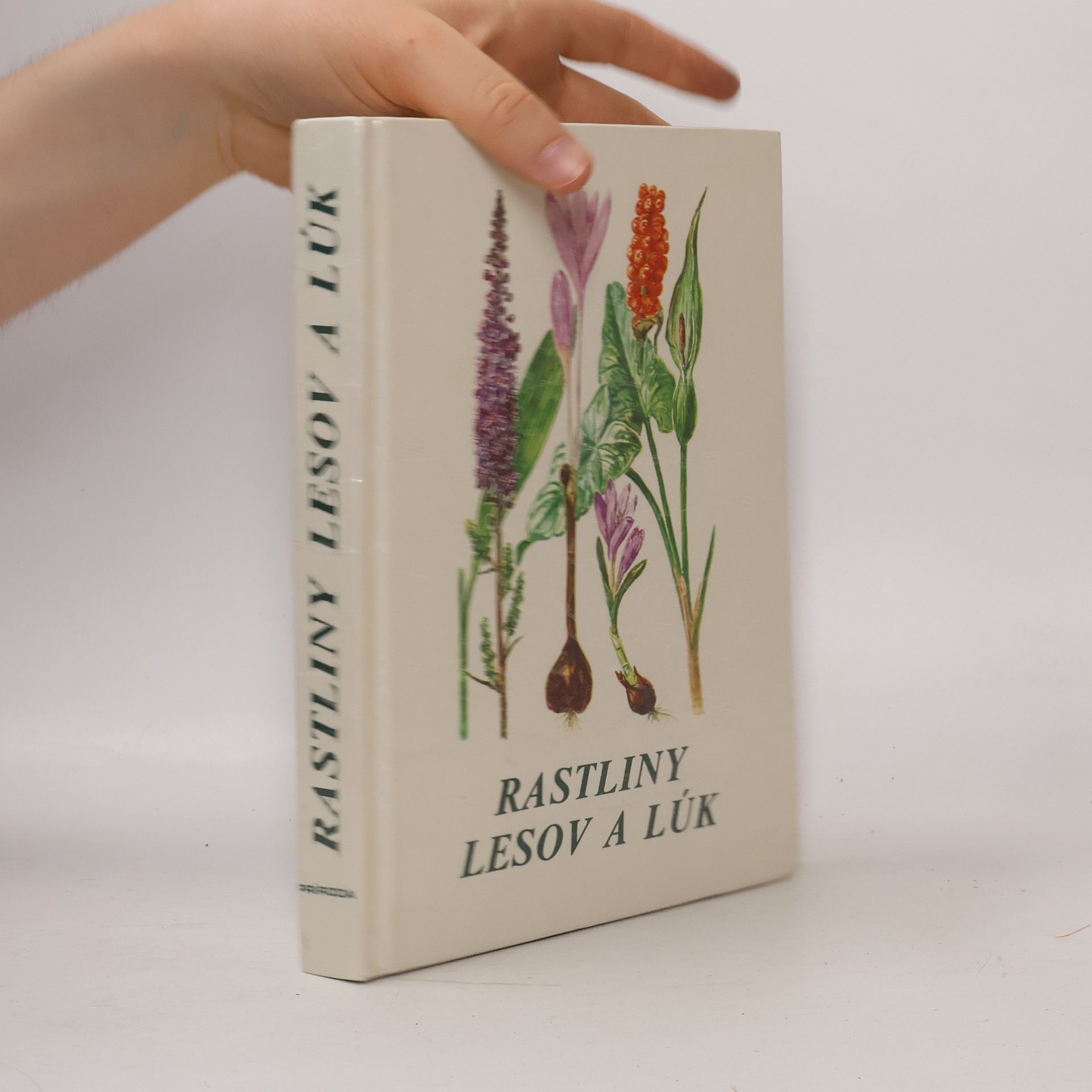 Autorenkollektiv Rastliny lesov a lúk