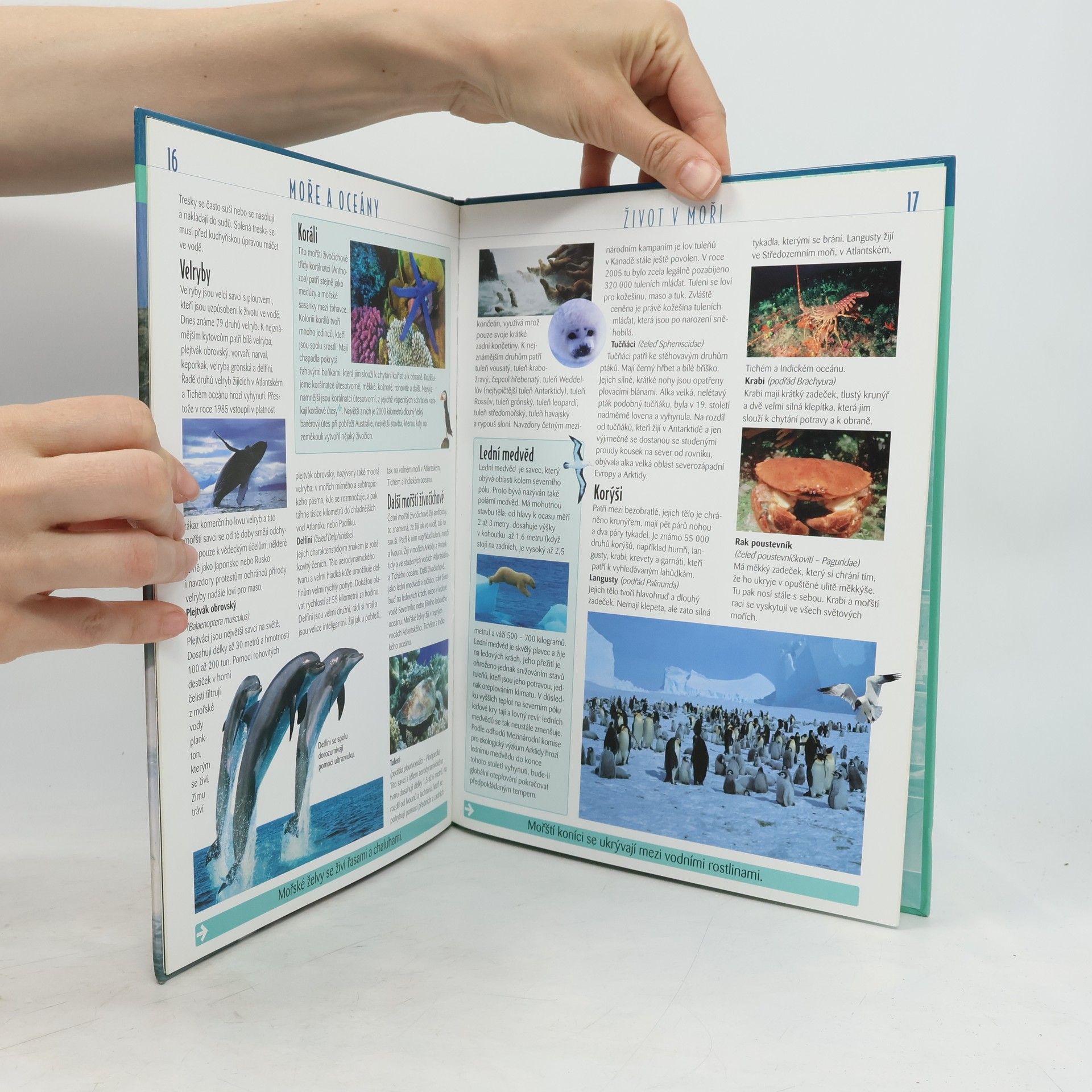 Various authors Atlas pro mládež. Příroda. Moře a oceány.