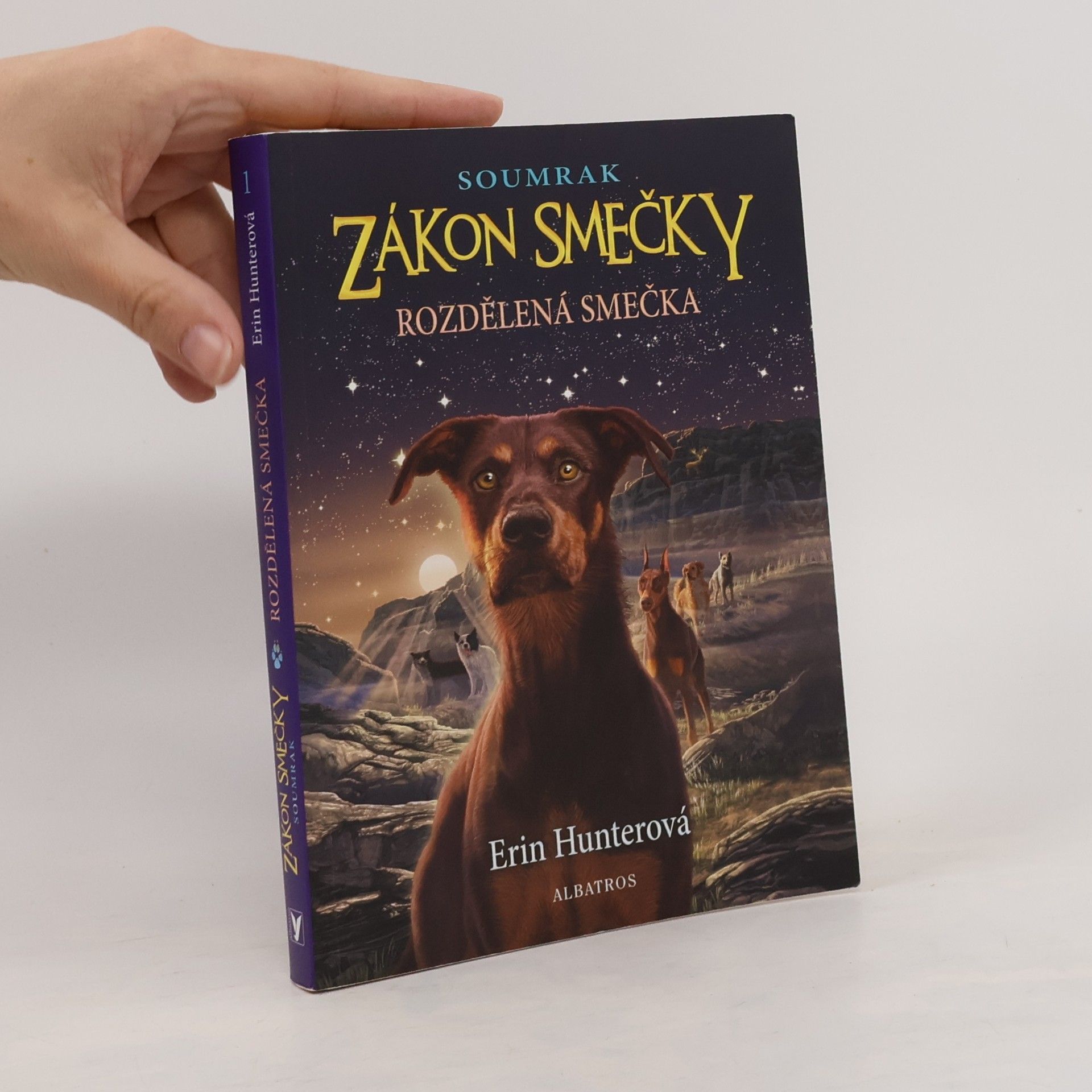 Erin Hunter Rozdělená smečka