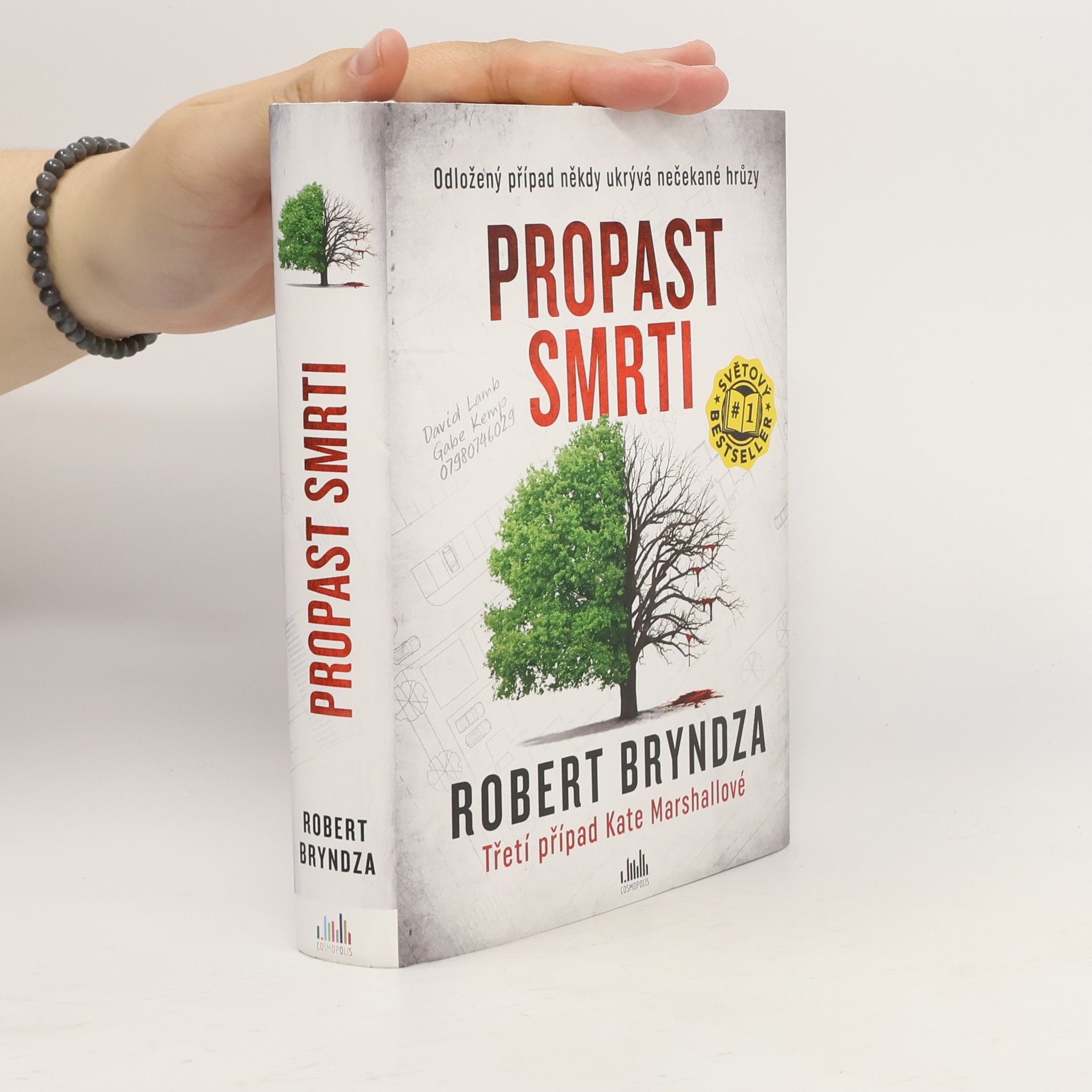 Robert Bryndza Propast smrti