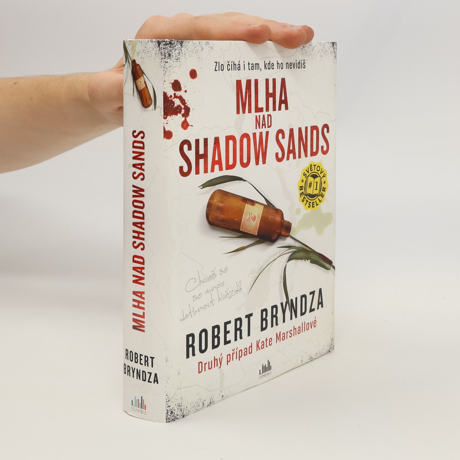 Robert Bryndza Mlha nad Shadow Sands