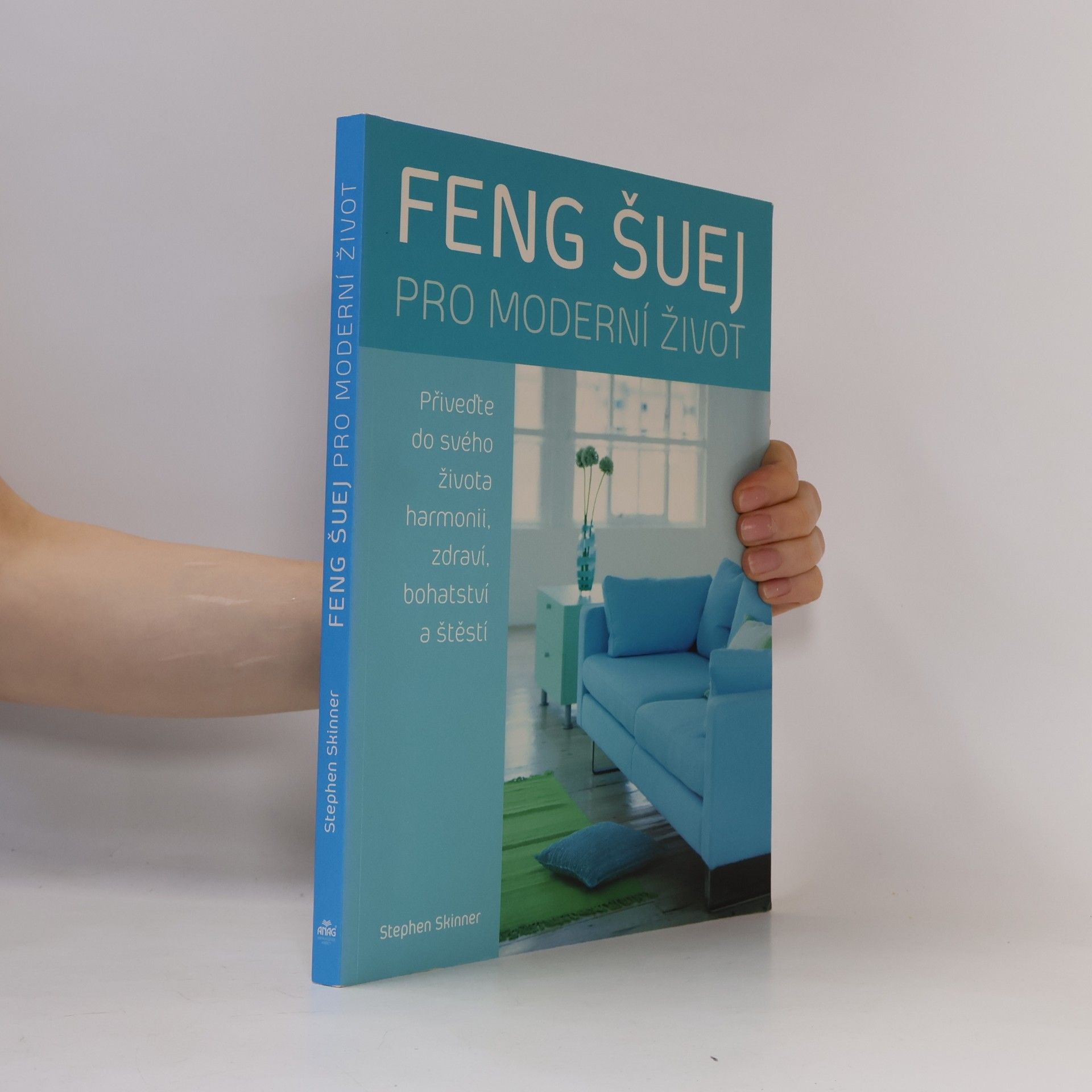 Stephen Skinner Feng šuej pro moderní život