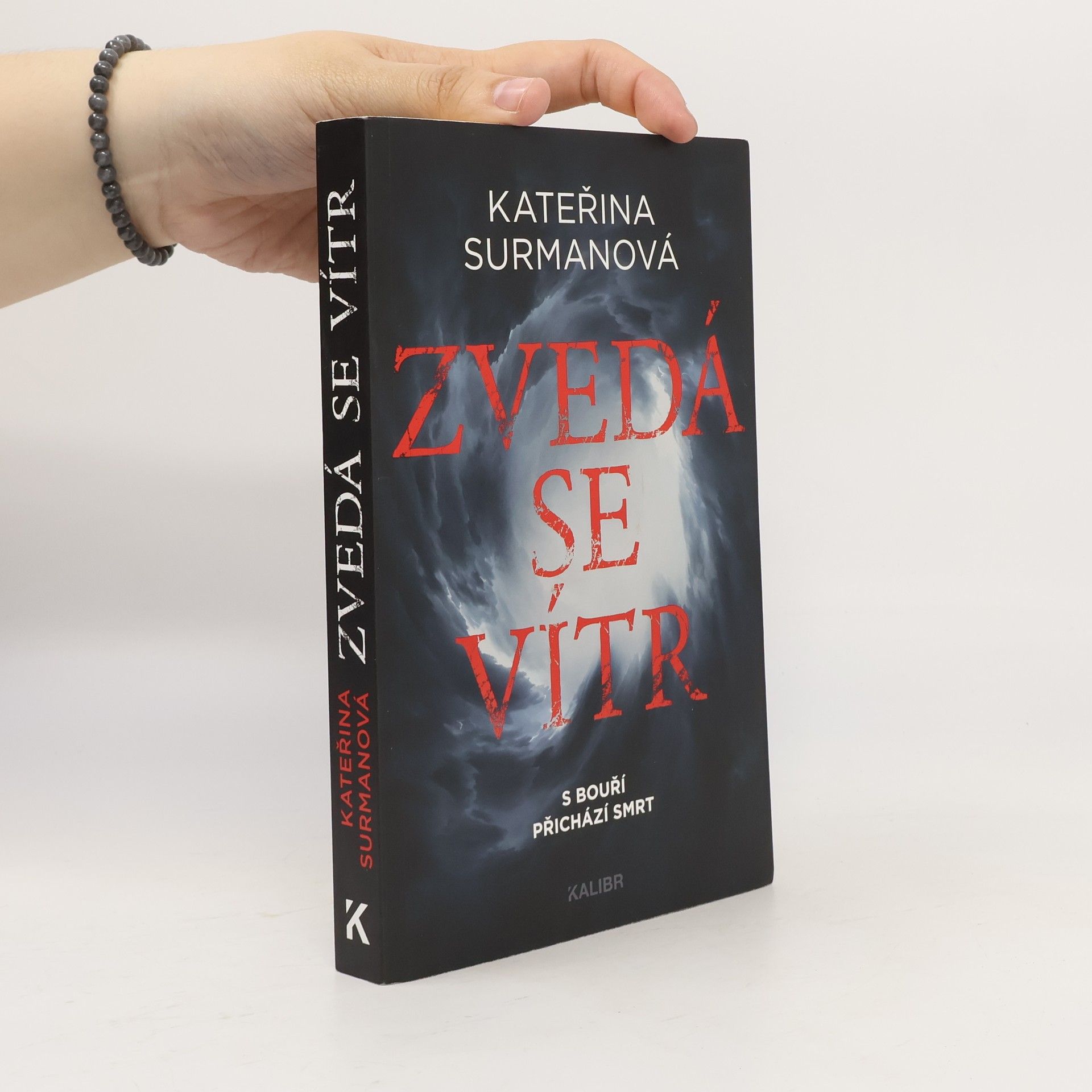 Kateřina Surmanová Zvedá se vítr