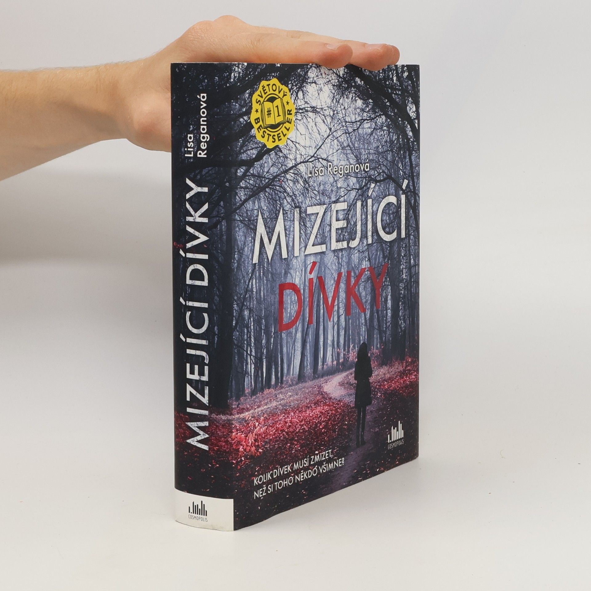 Lisa Regan Mizející dívky