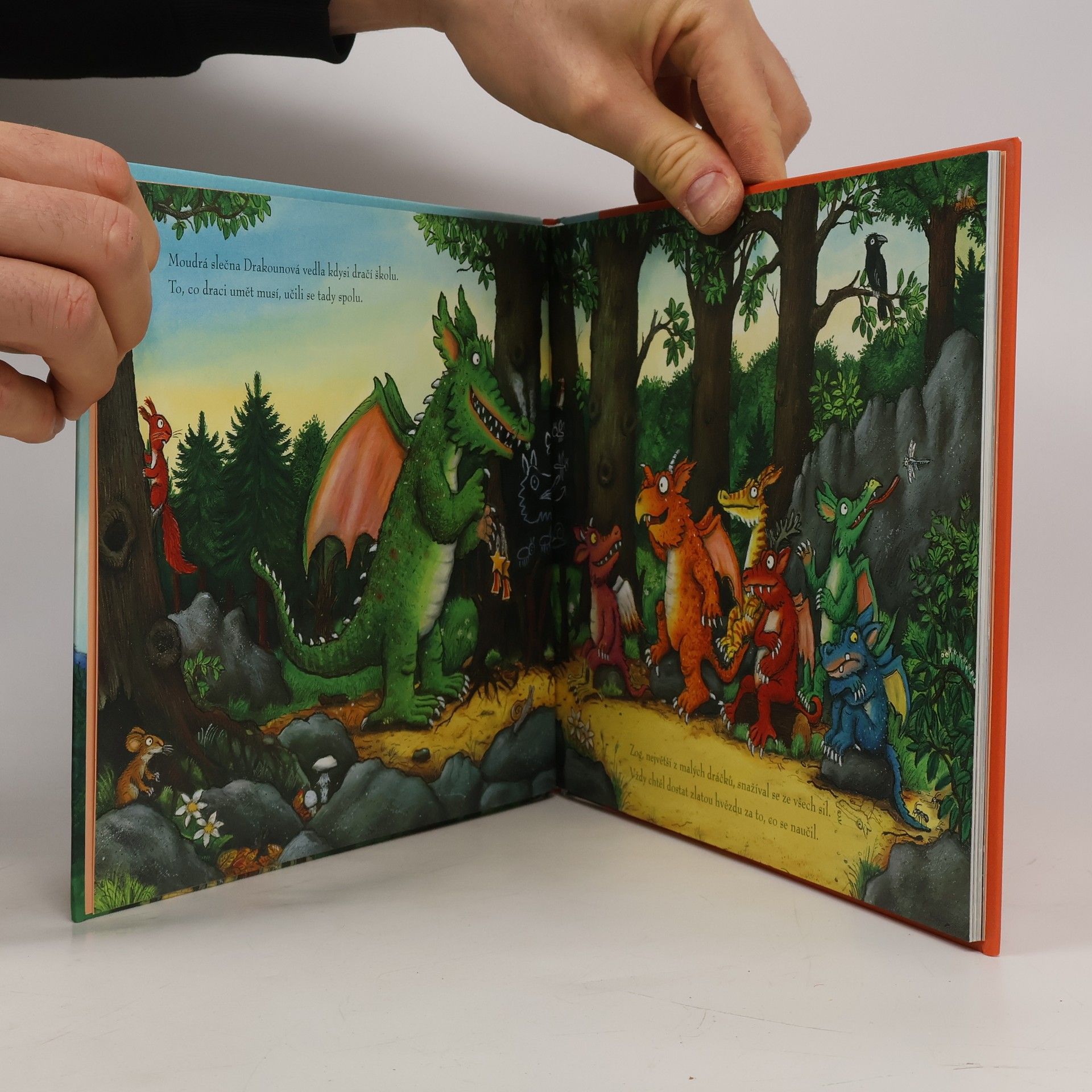 Julia Donaldson Dráček Zog a princezna Rebelka