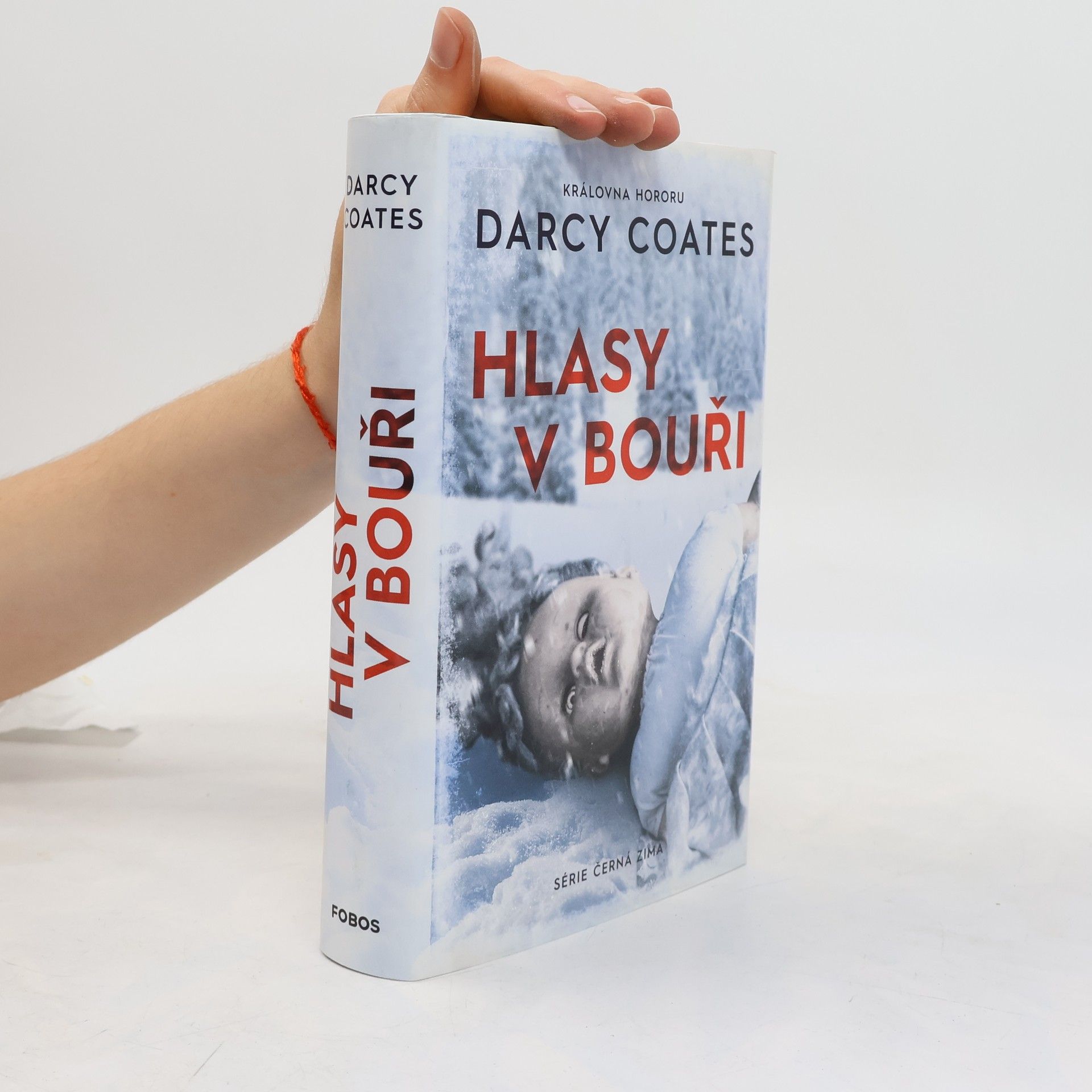 Darcy Coates Hlasy v bouři