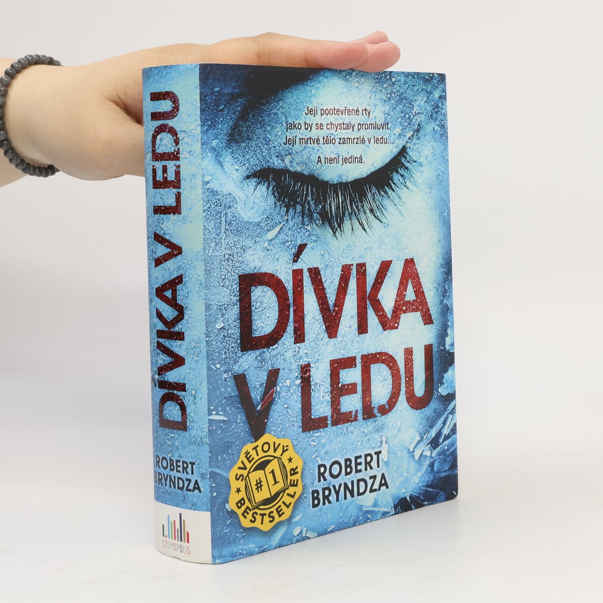Robert Bryndza Dívka v ledu