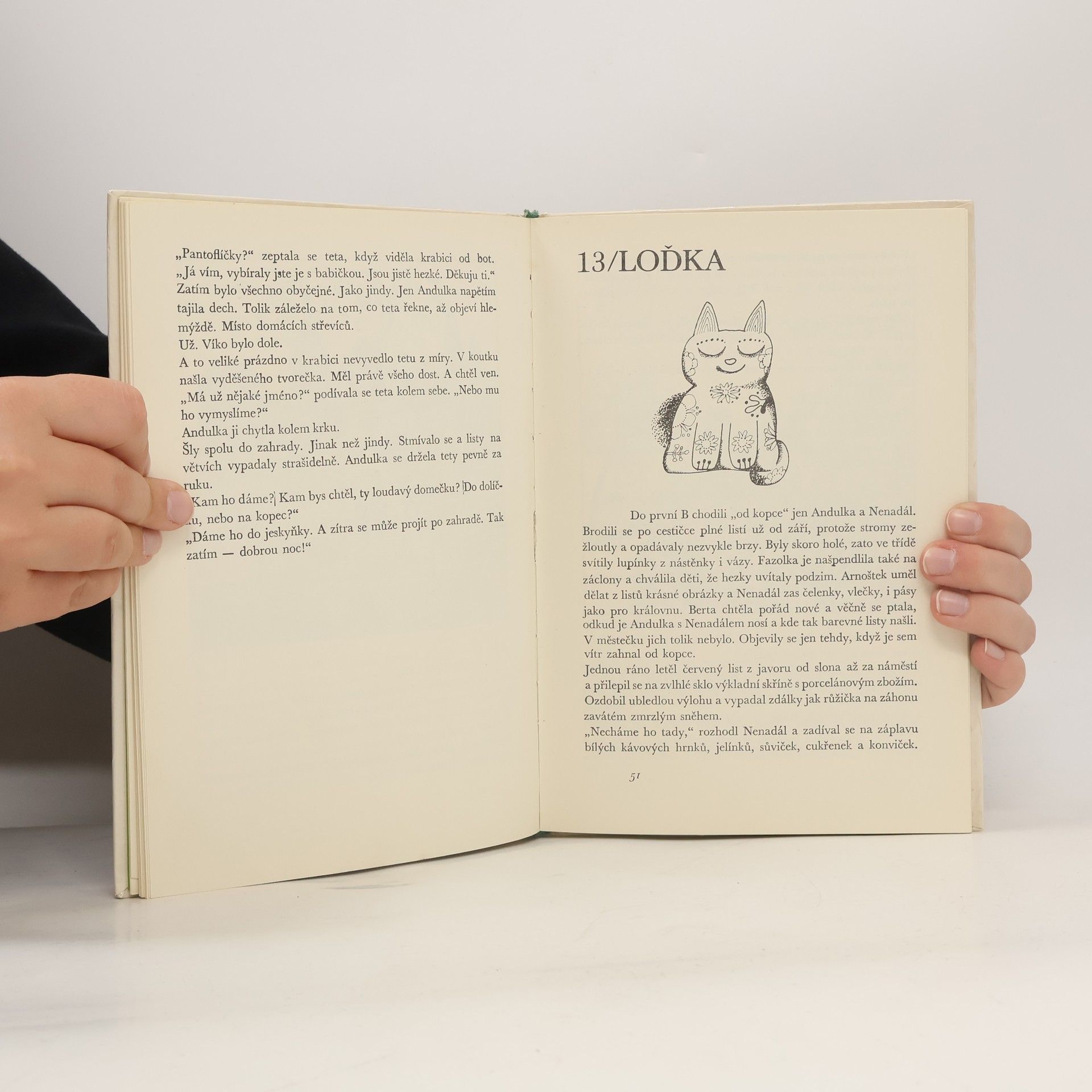 Dagmar Lhotová Andulka pod barevným kopcem