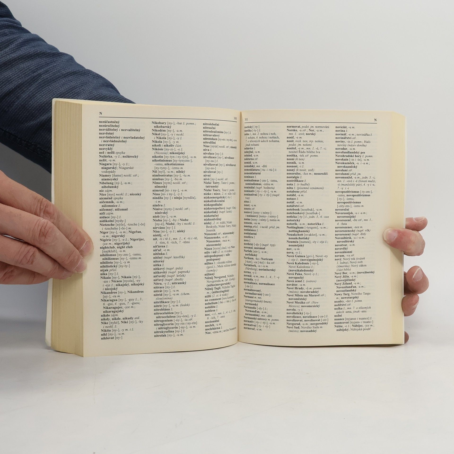Autorenkollektiv Pravidla českého pravopisu do kapsy