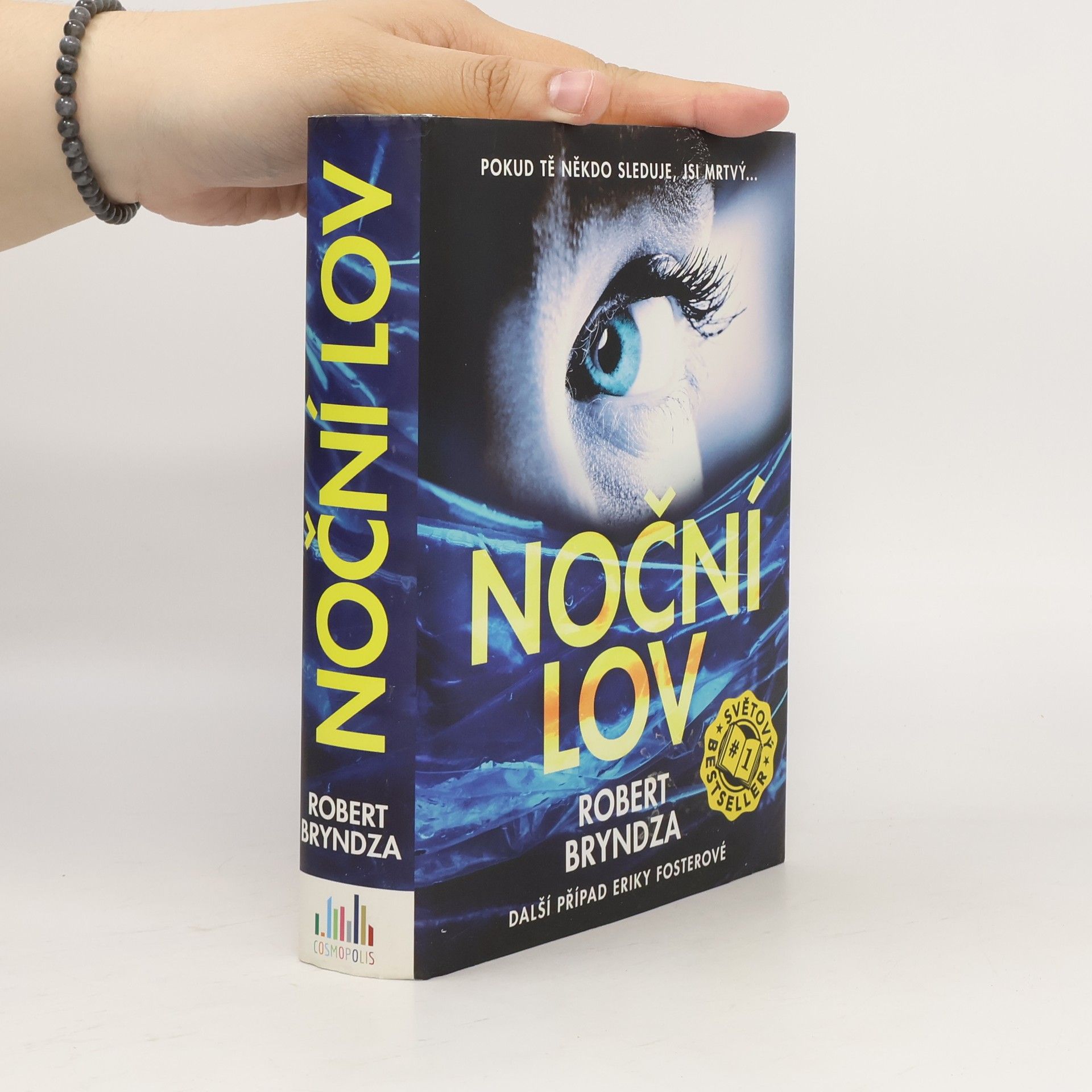 Robert Bryndza Noční lov