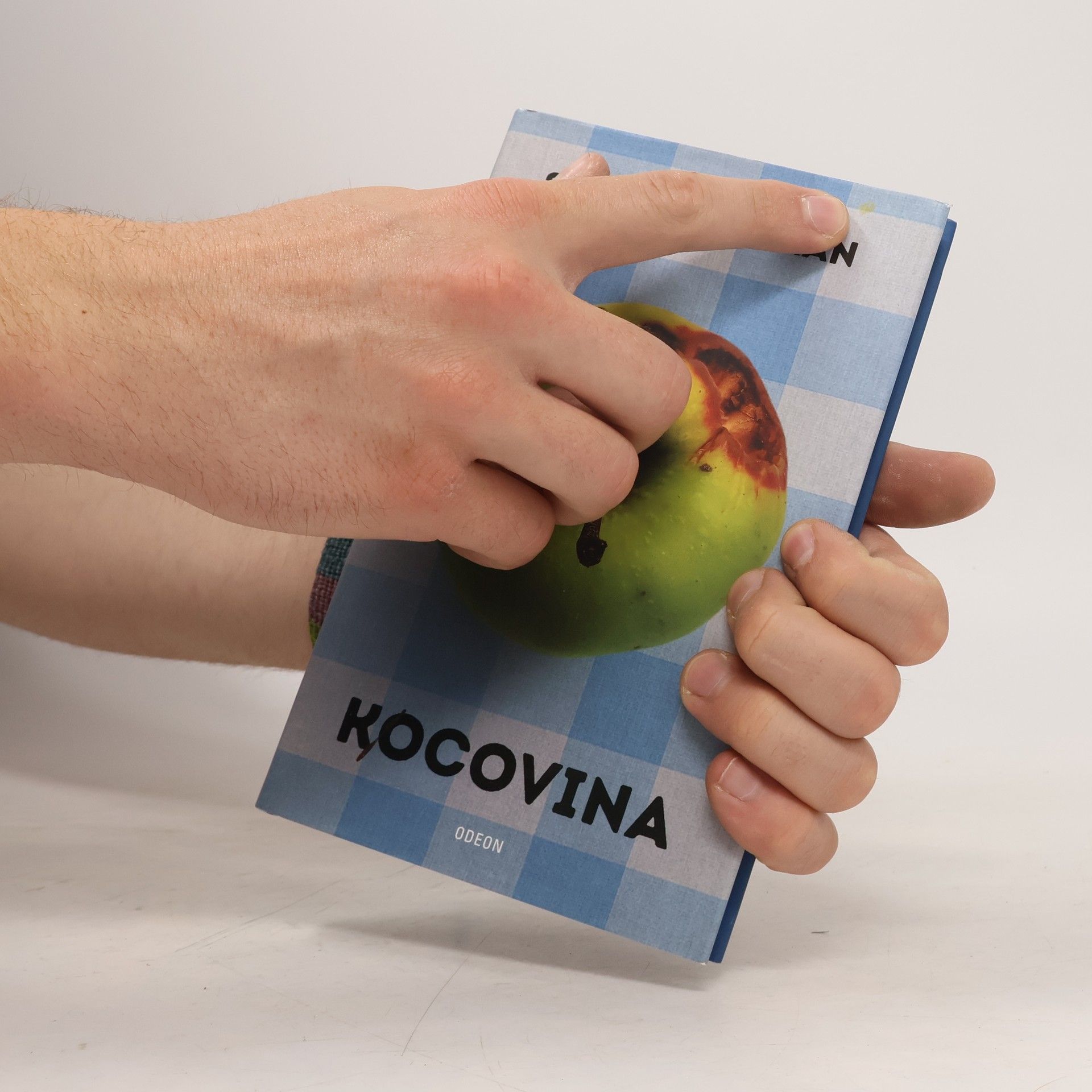 Stanislav Beran Kocovina