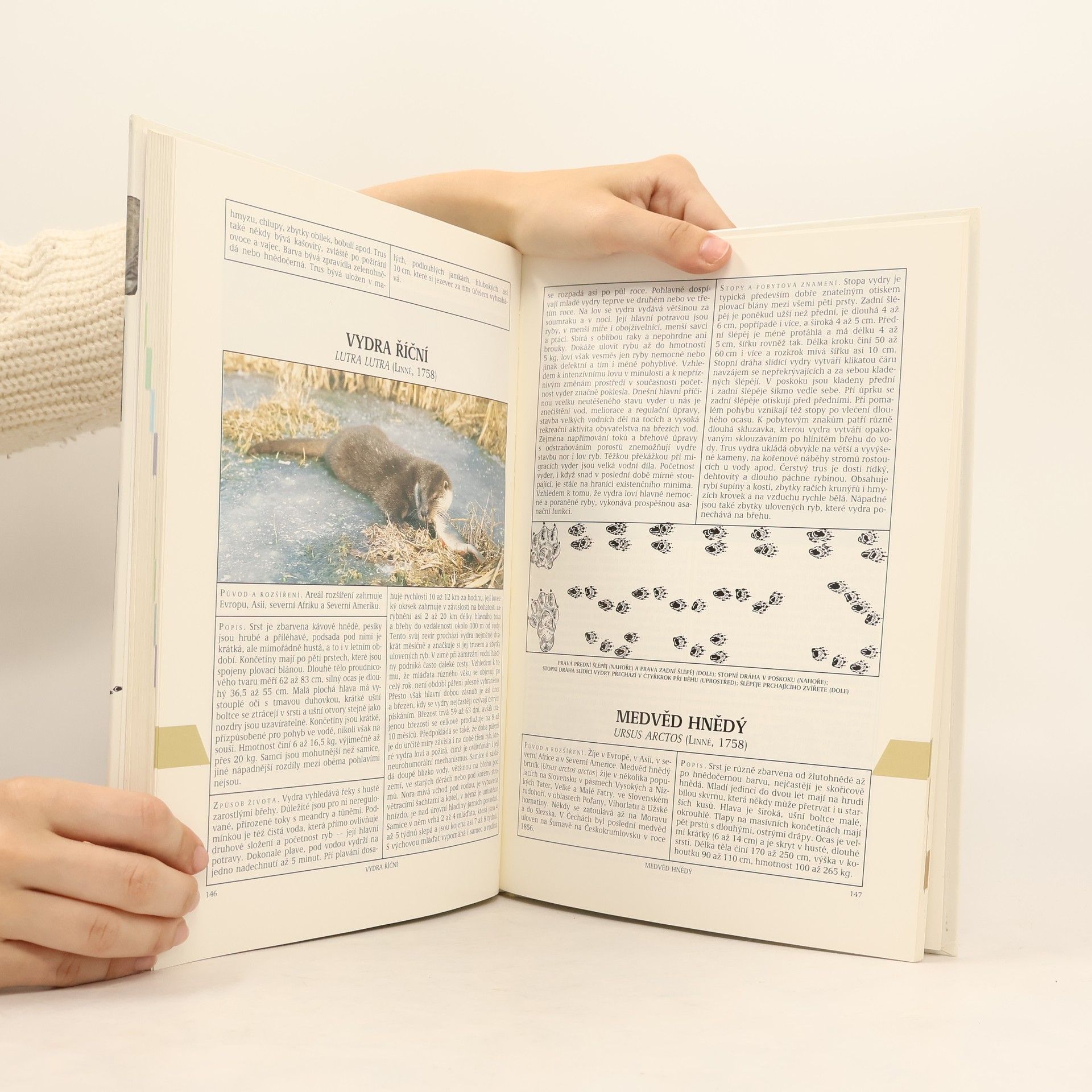Stanislav Mottl Atlas zvěře