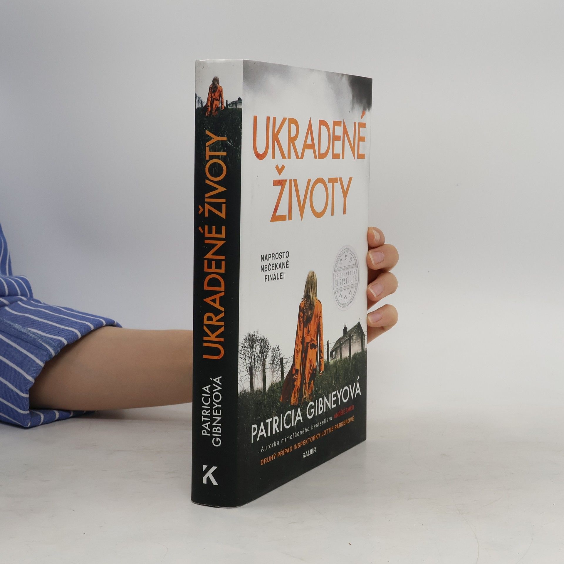 Patricia Gibney Ukradené životy