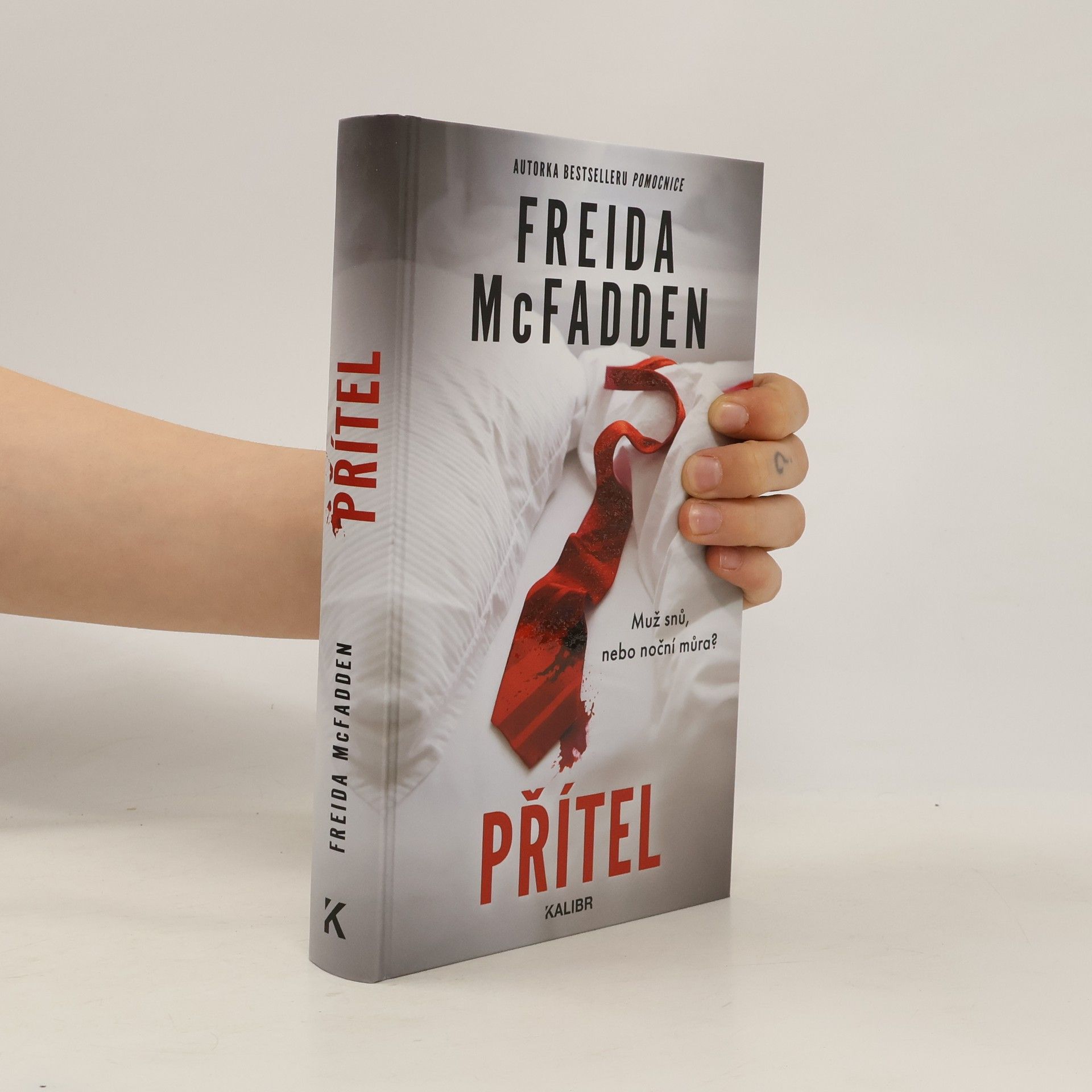 Freida McFaddenová Přítel