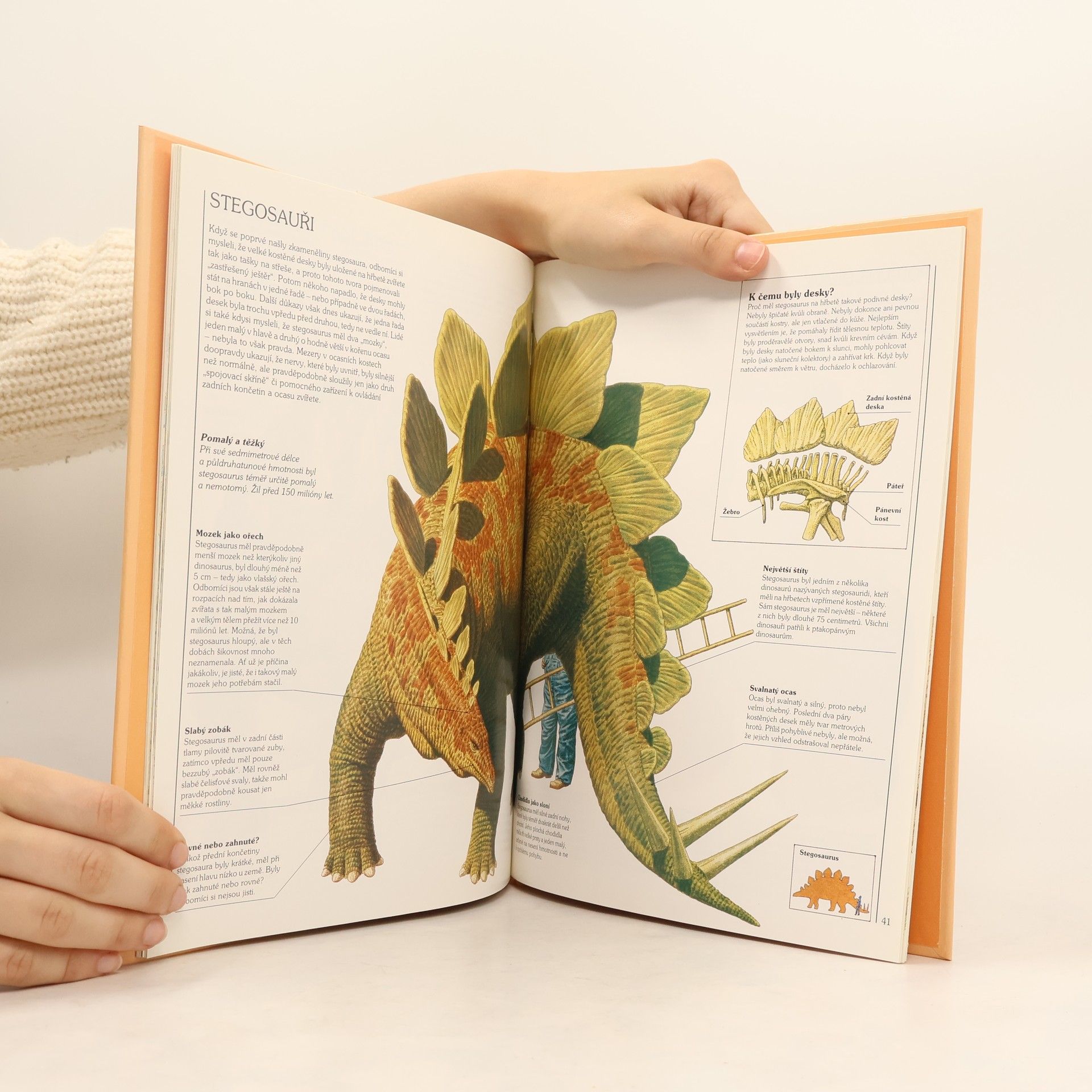 Auteurscollectief Jak žili dinosauři
