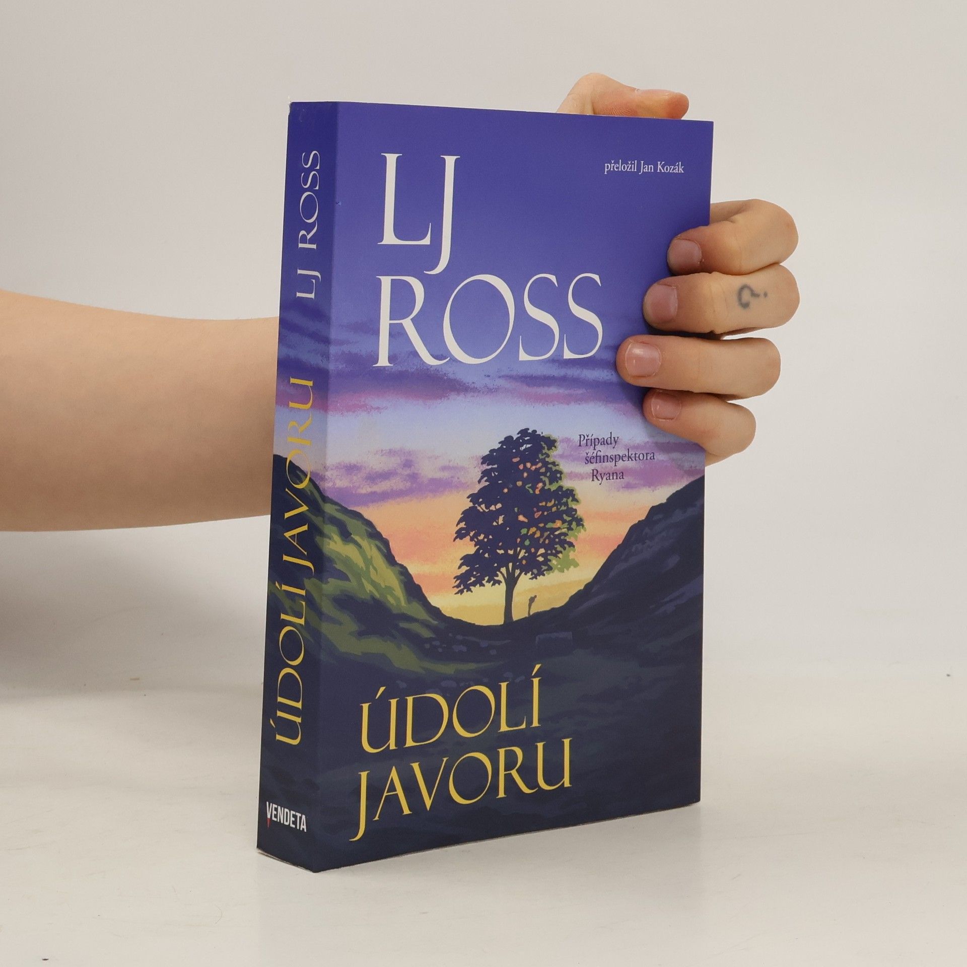 Louise Ross Údolí javoru