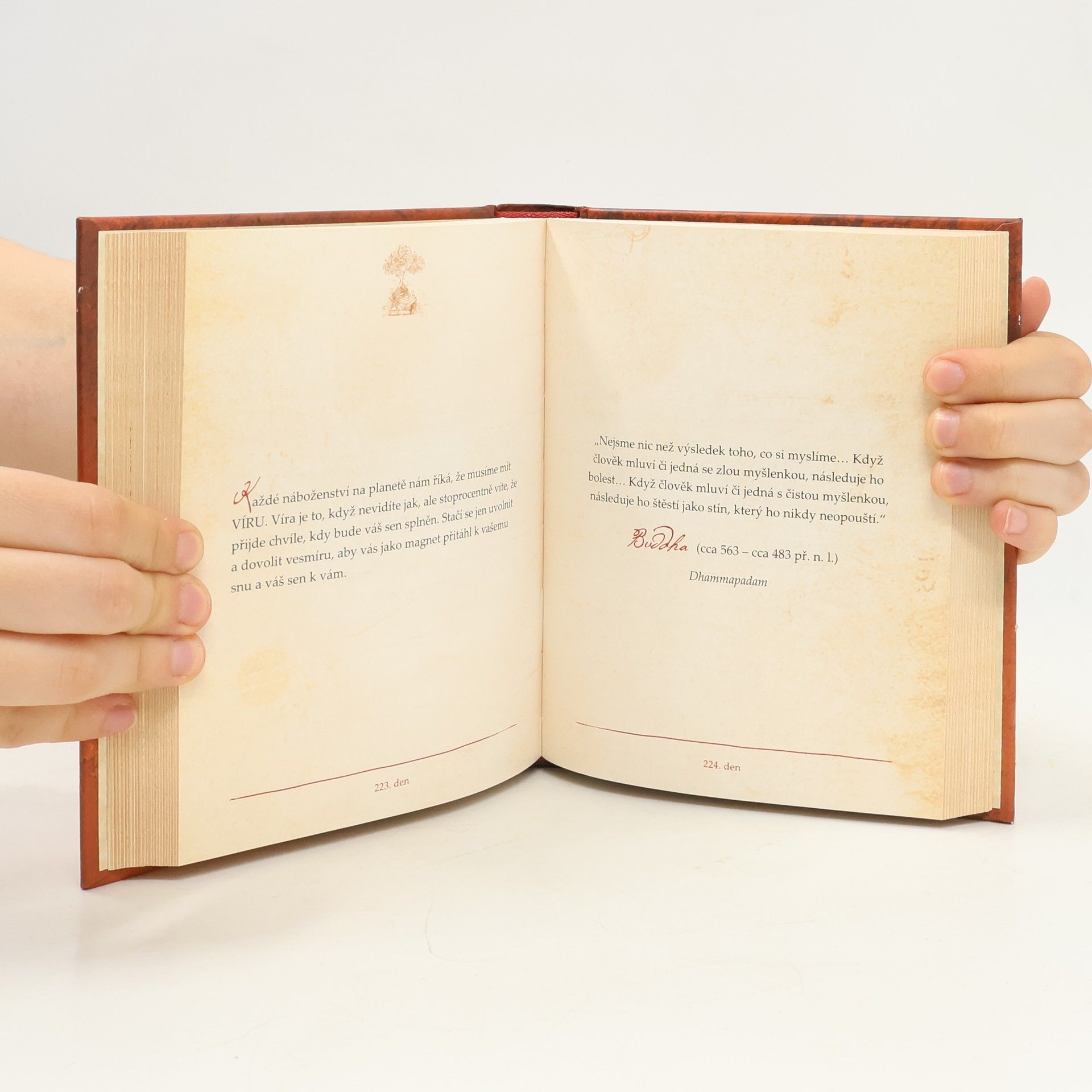 Rhonda Byrne Denní naučení