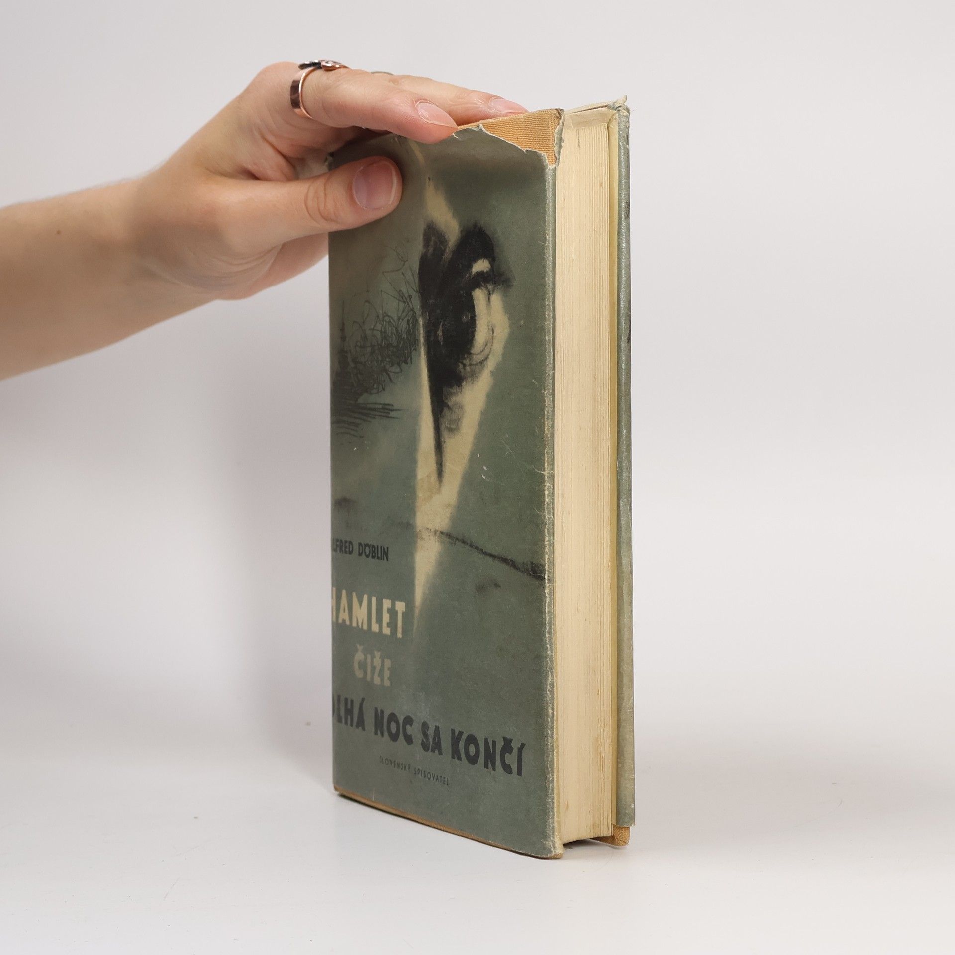 Alfred Döblin Hamlet, čiže, dlhá noc sa končí