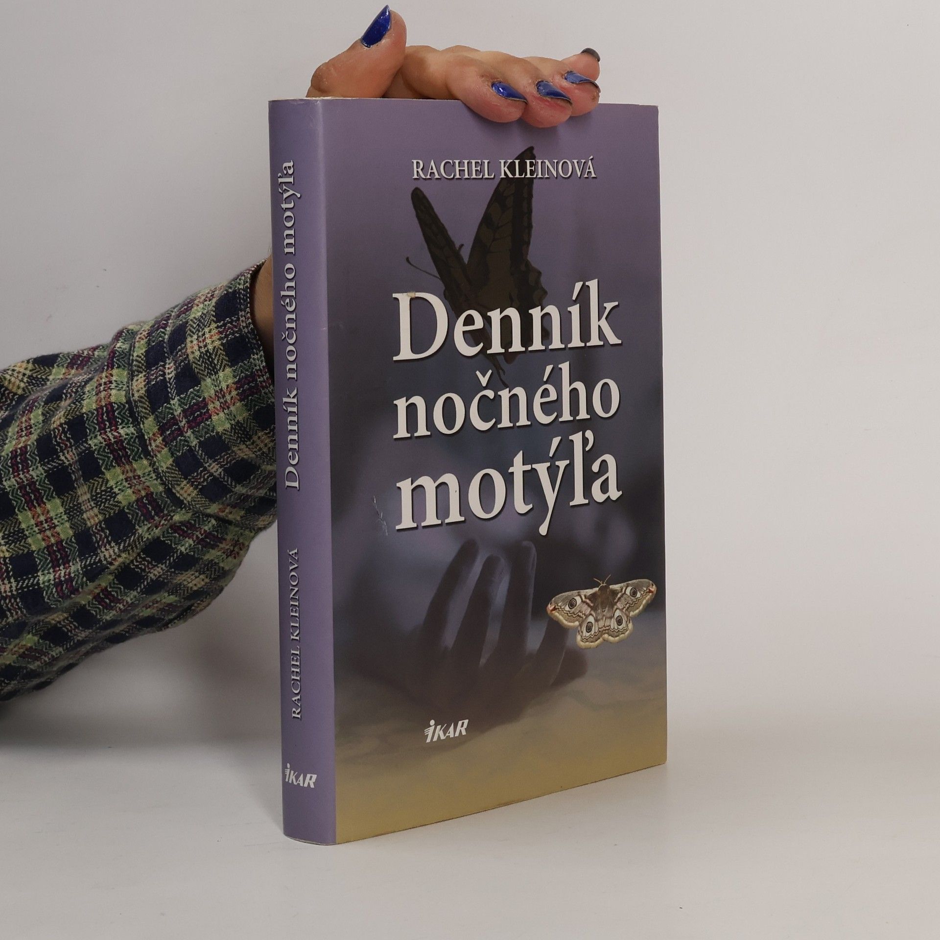 Rachel Klein Denník nočného motýľa