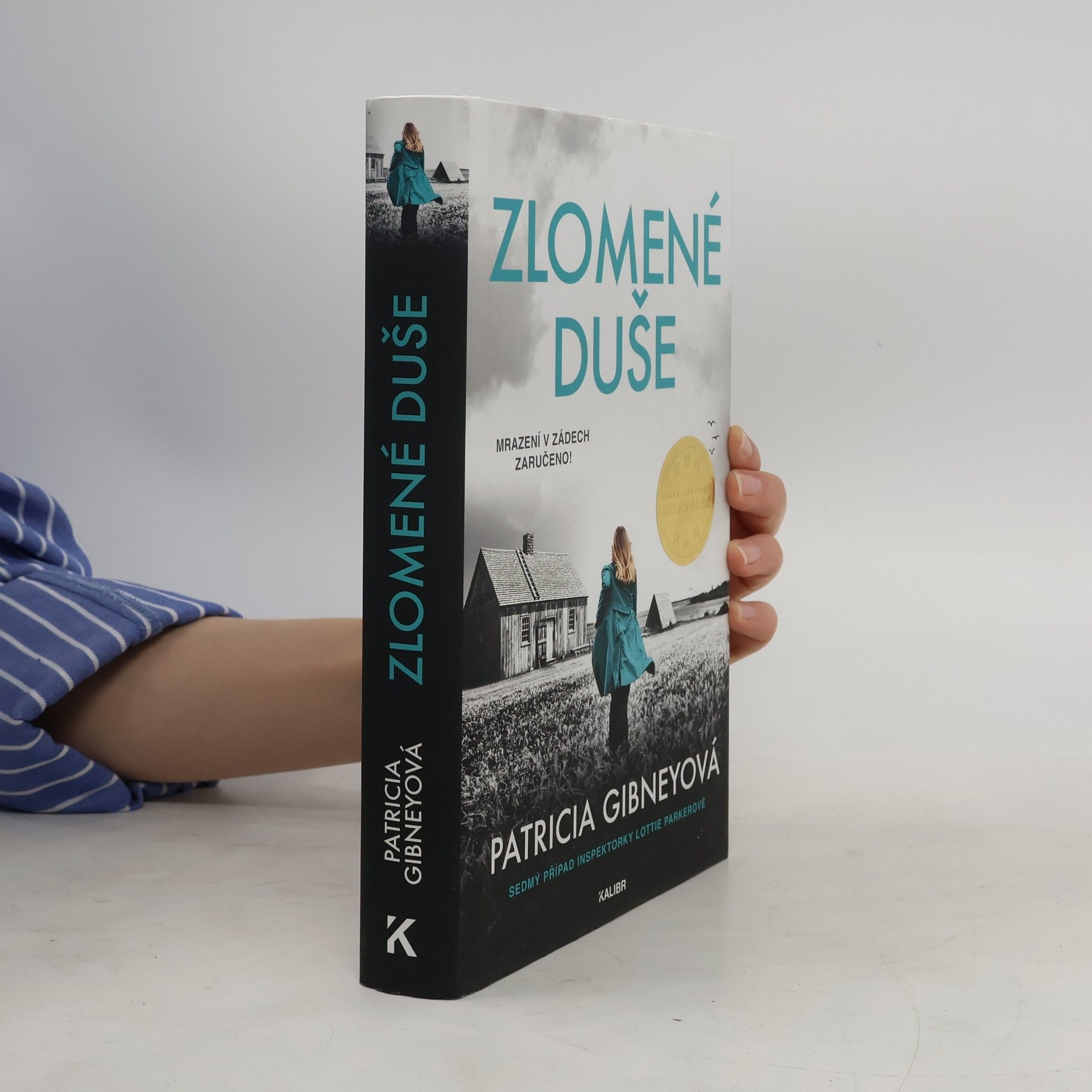 Patricia Gibney Zlomené Duše