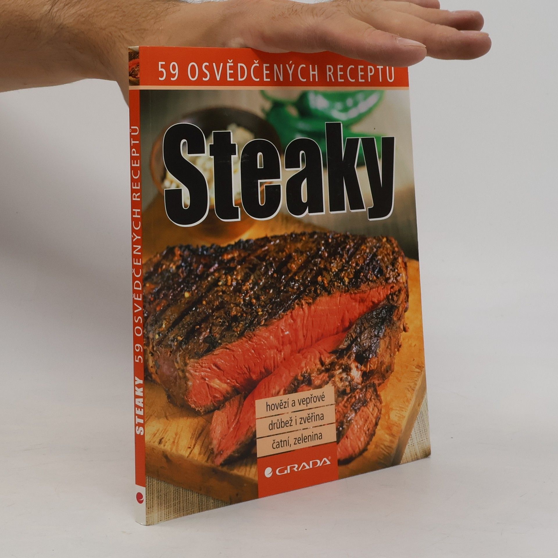 Kolektív autorov Steaky - 59 osvědčených receptů