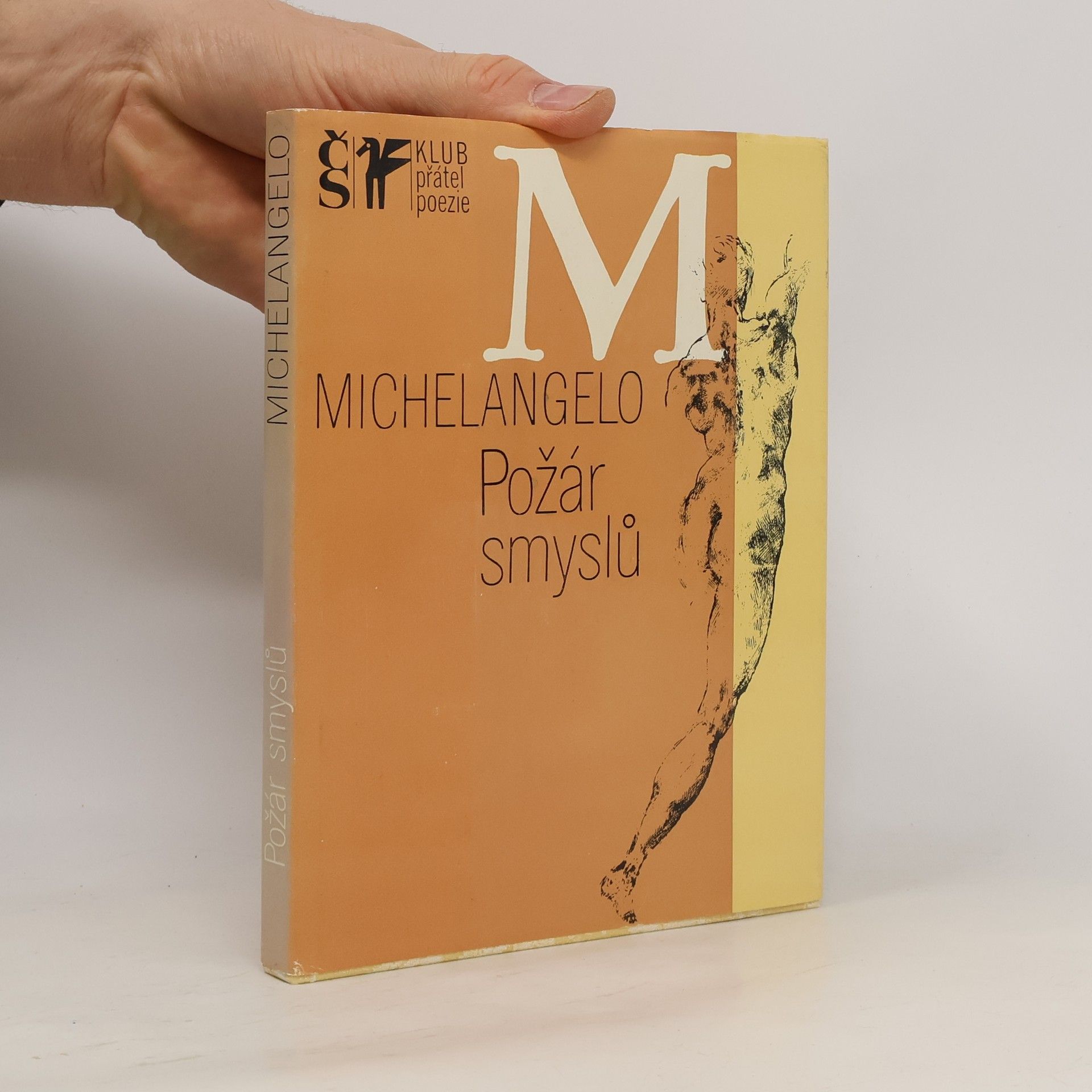 Michelangelo Buonarroti Požár smyslů