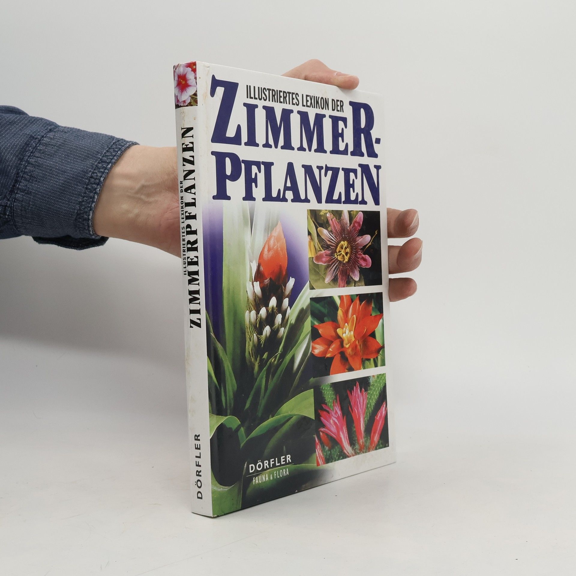 Anna Skalická Illustriertes Lexikon der Zimmerpflanzen