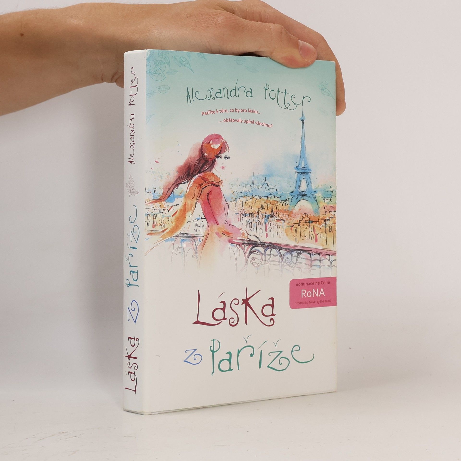 Alexandra Potter Láska z Paříže