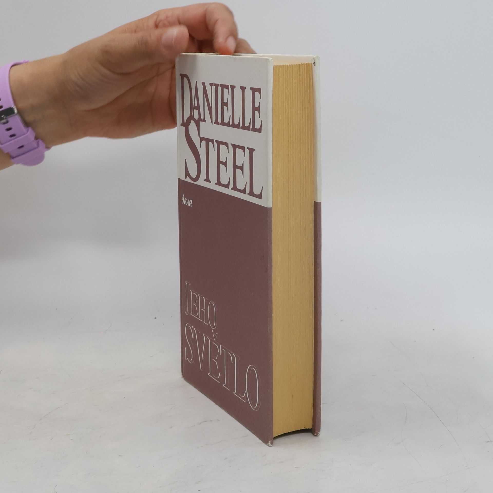 Danielle Steel Jeho světlo