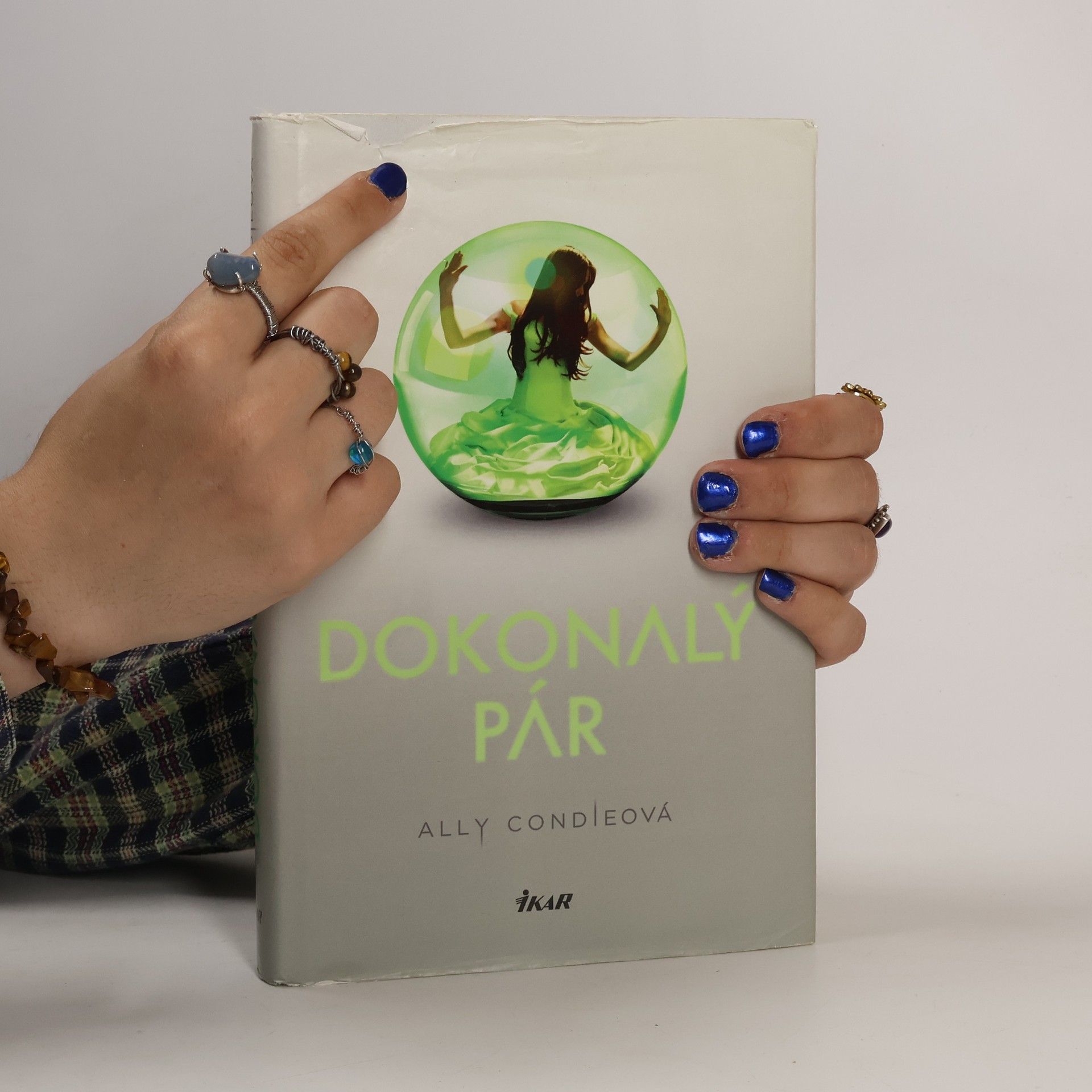 Allyson Braithwaite Condie Dokonalý pár