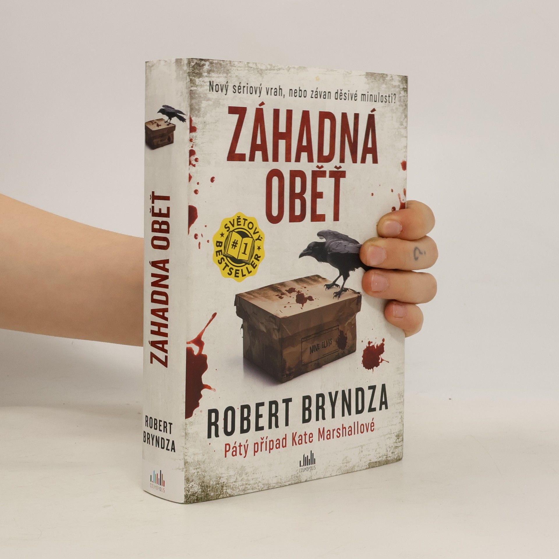 Robert Bryndza Záhadná oběť