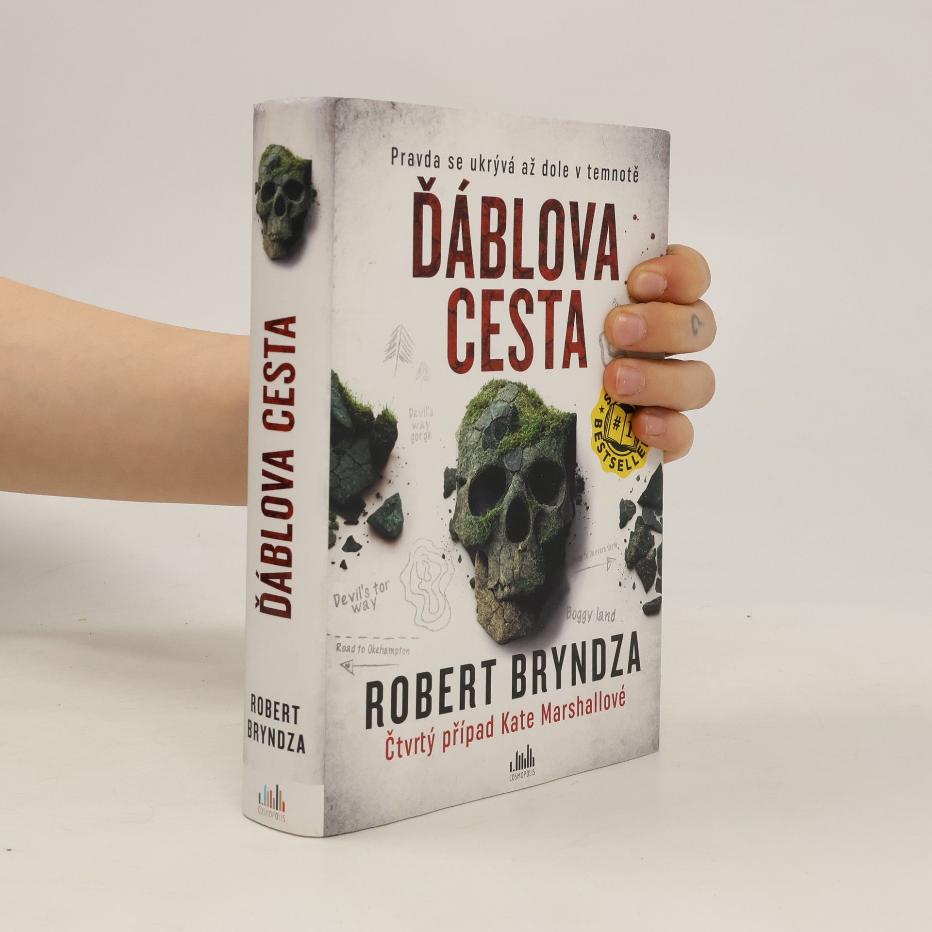 Robert Bryndza Ďáblova cesta