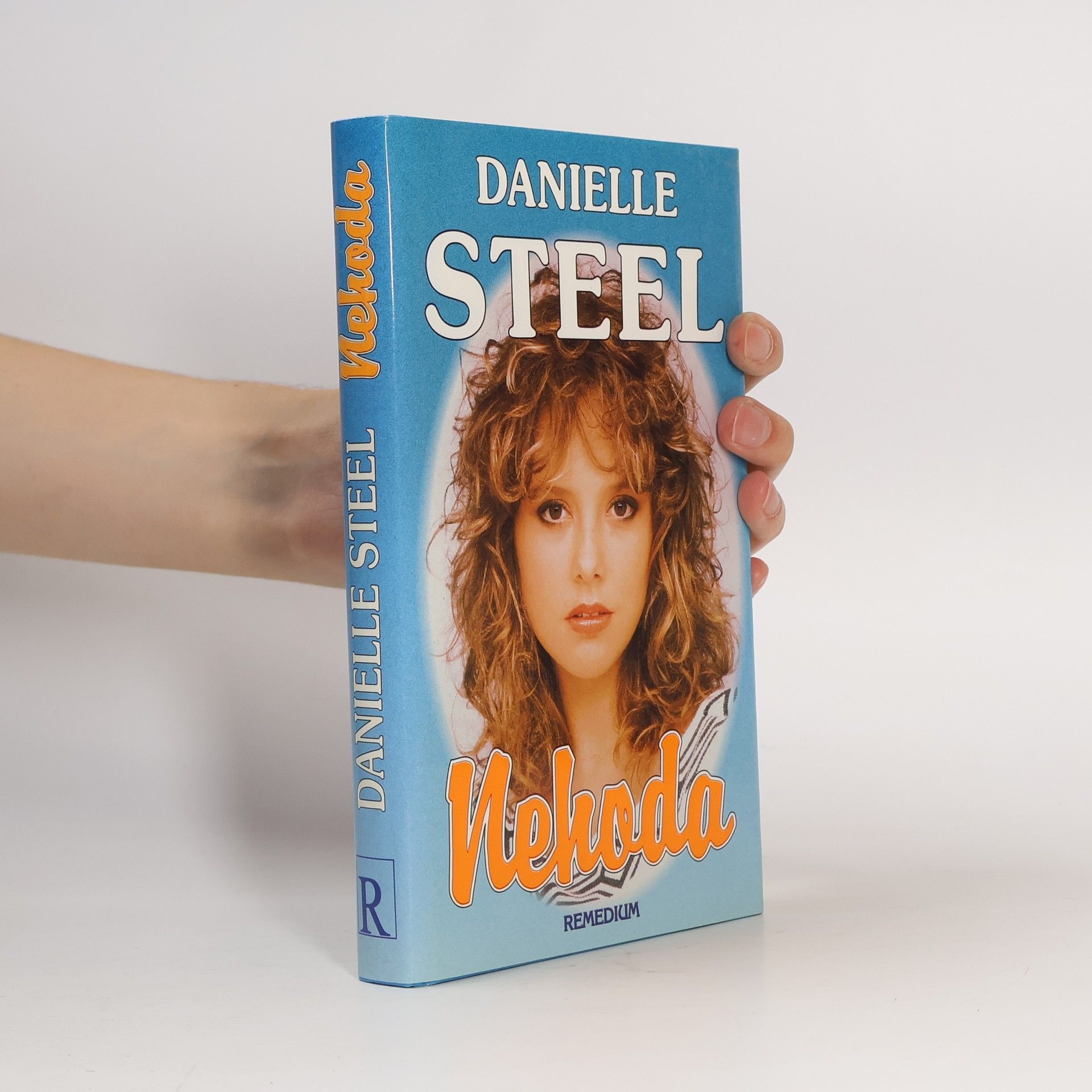 Danielle Steel Nehoda