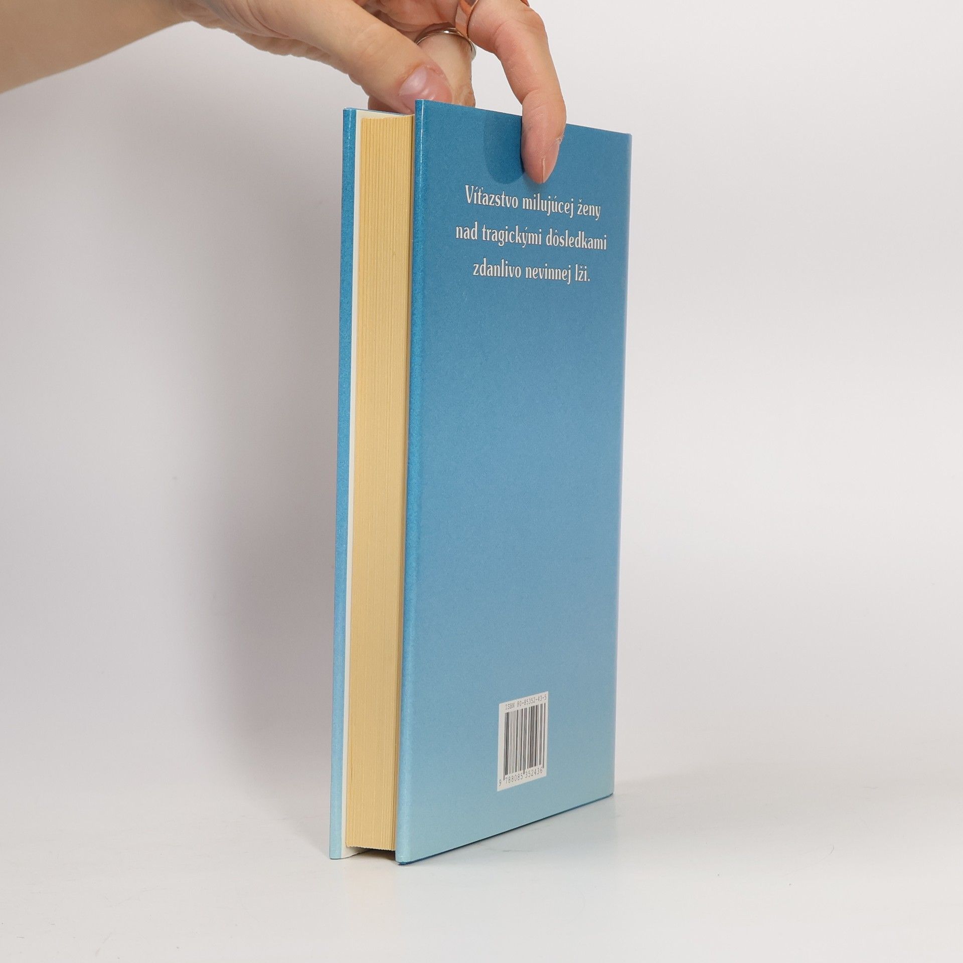 Danielle Steel Nehoda