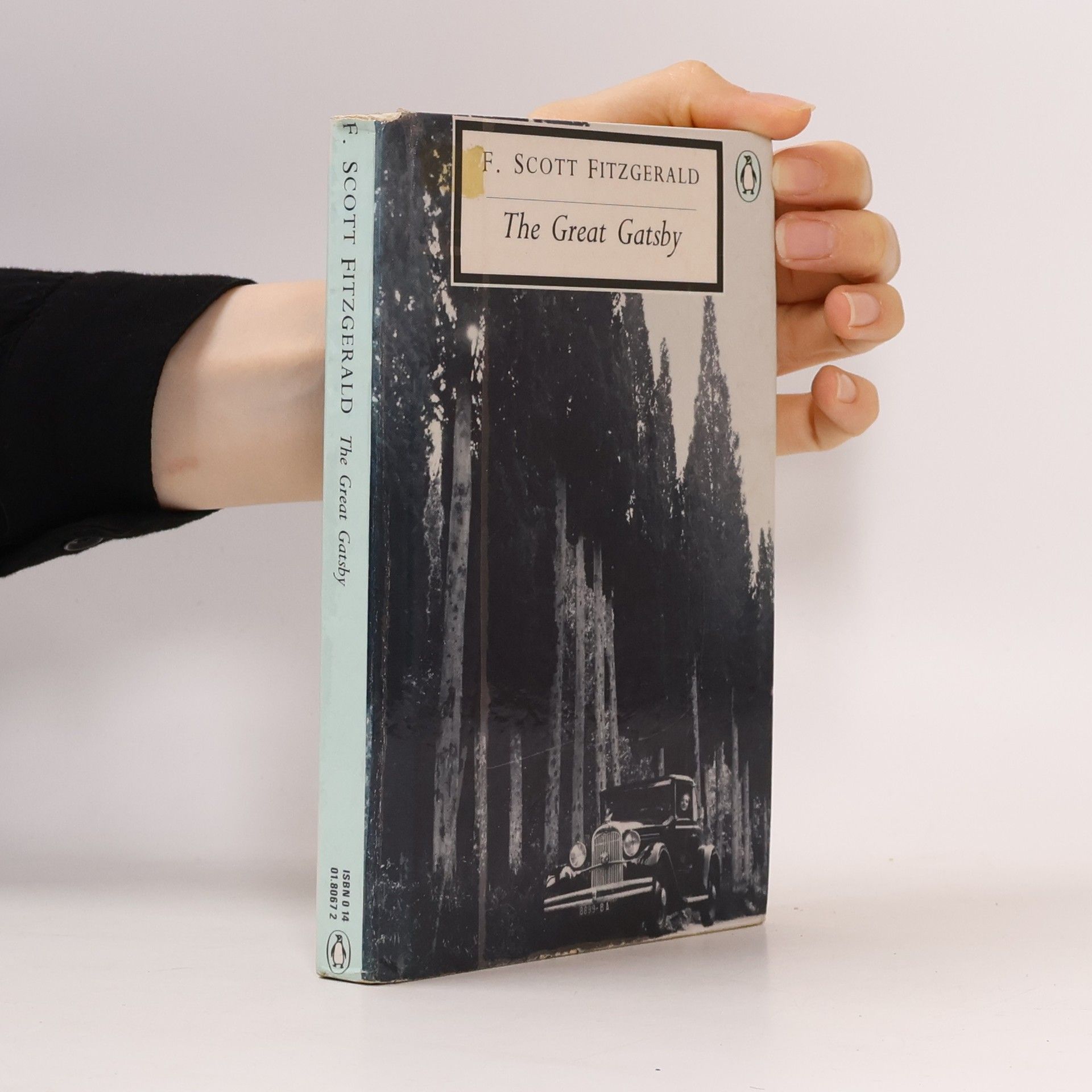 Francis Scott Fitzgerald The Grear Gatsby