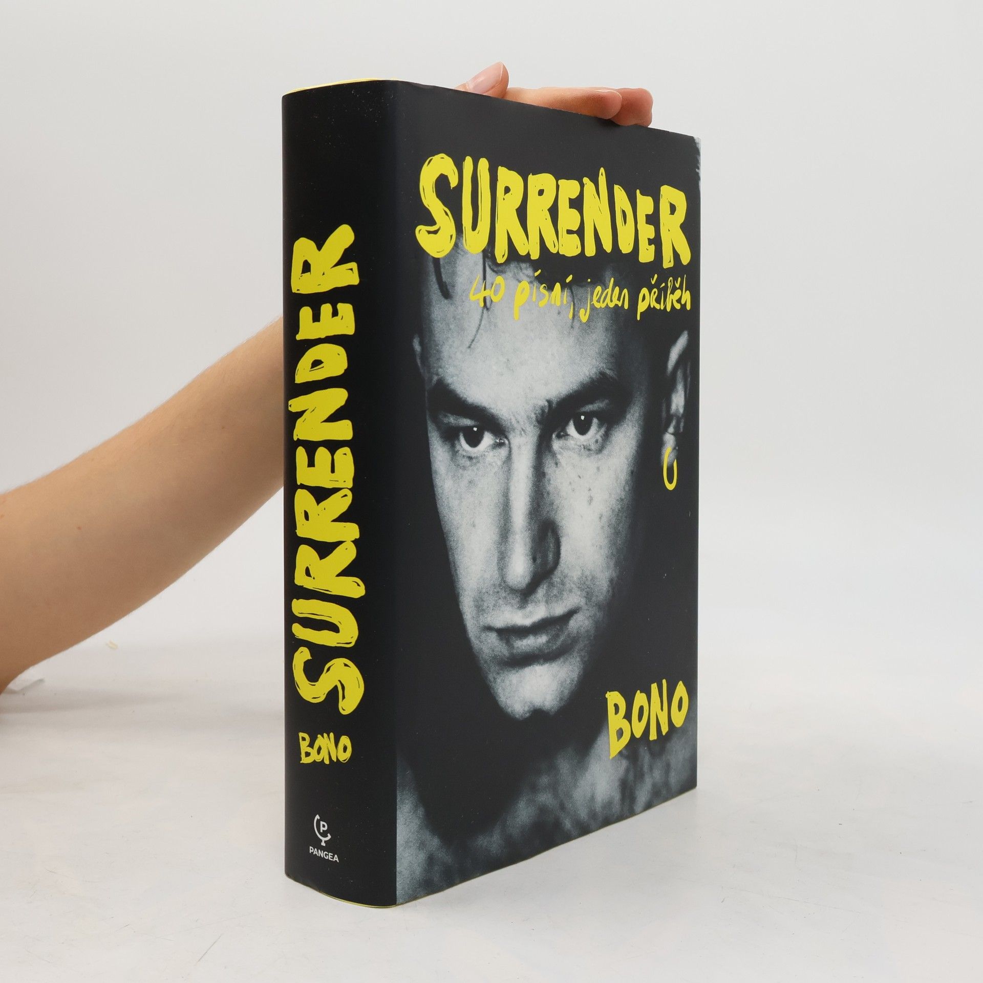 Bono Surrender : 40 písní, jeden příběh